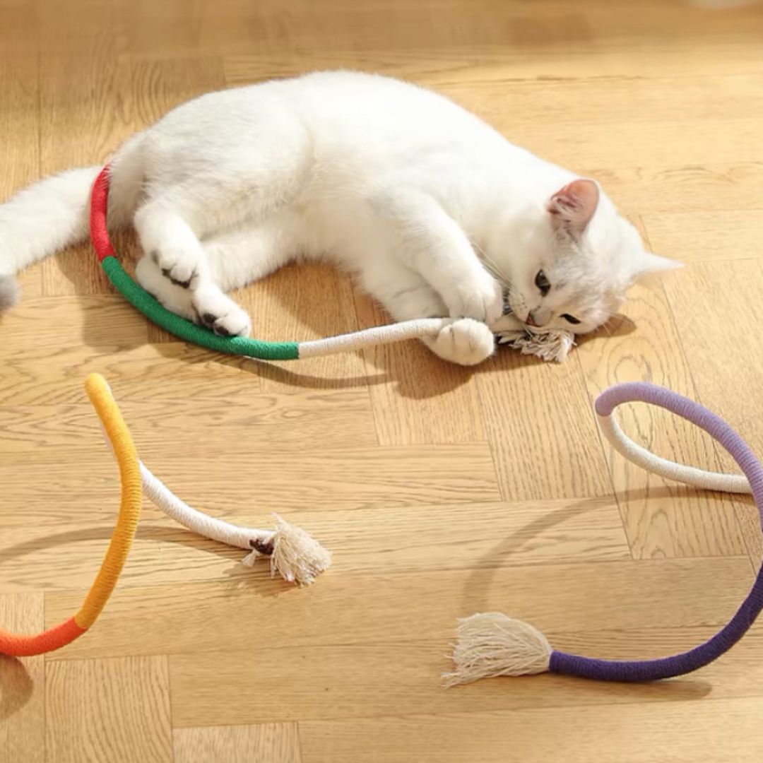 Cat Teasing Rope Toy