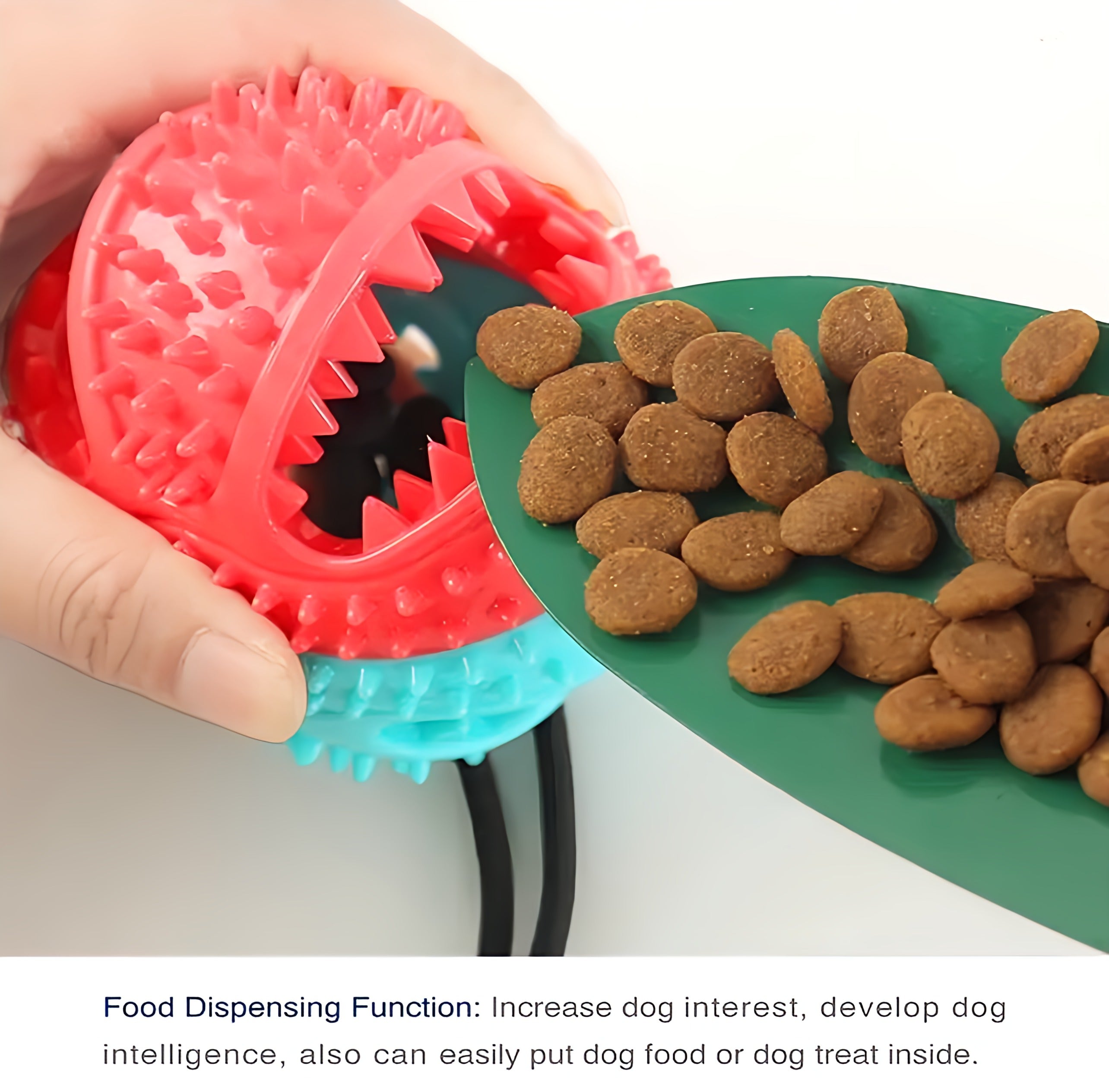 Dog Chew Toy