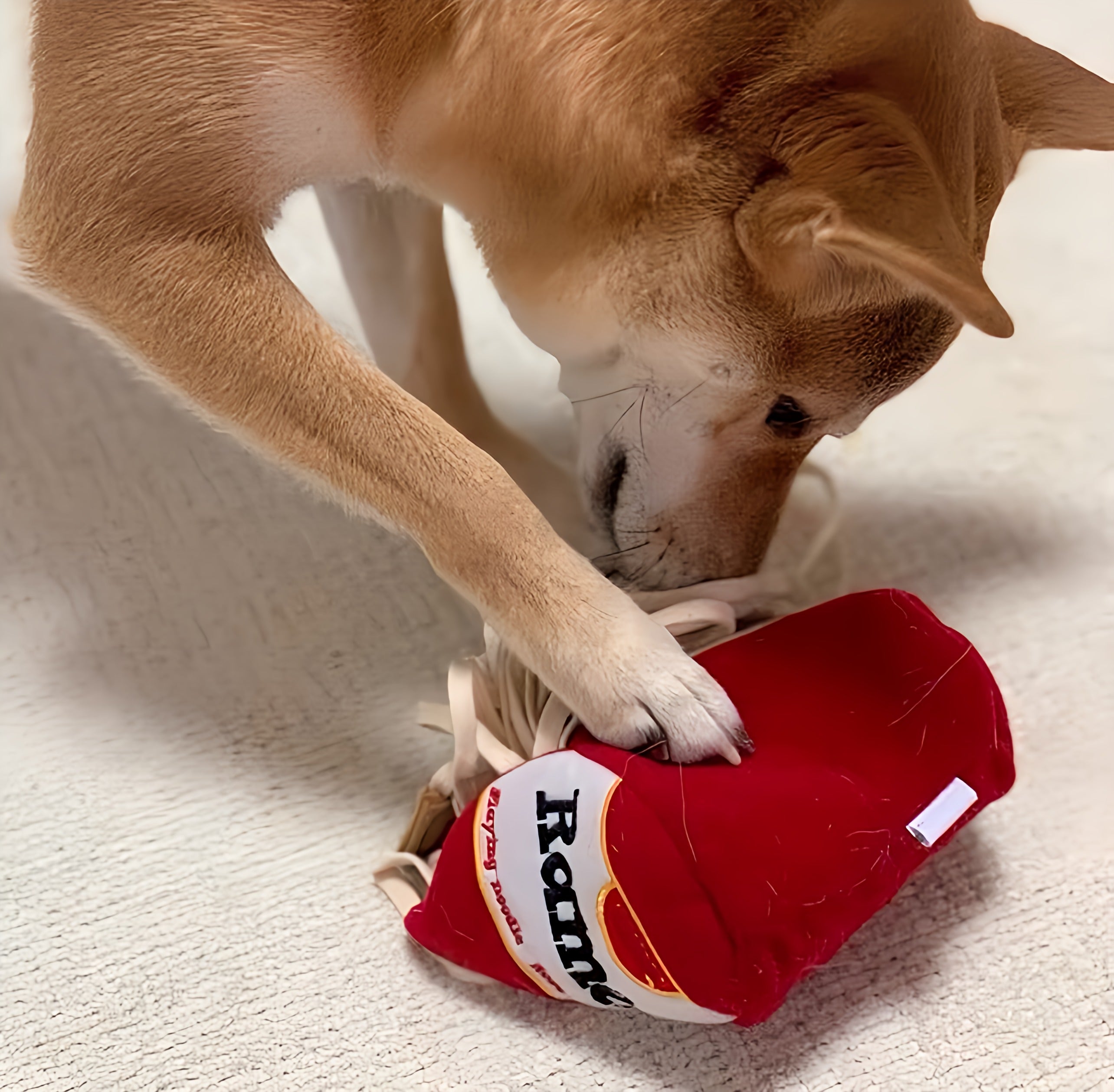 Interactive Dog Toy