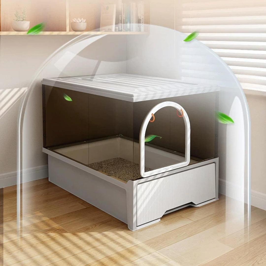 Transparent Large litter Box