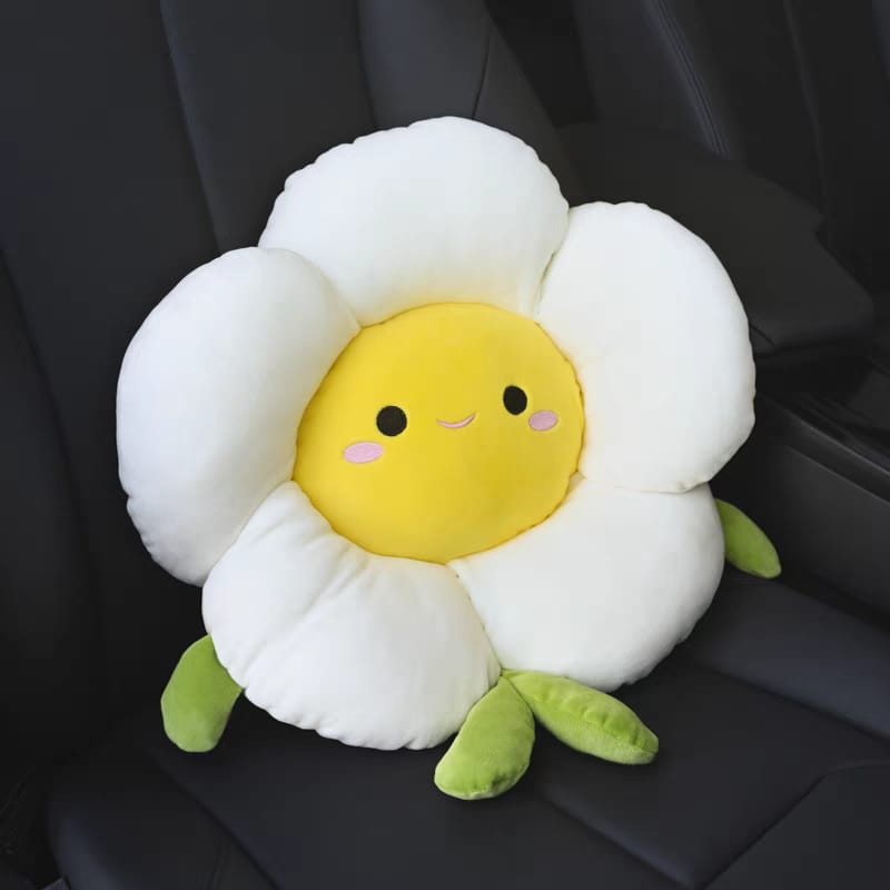 Car Cushion