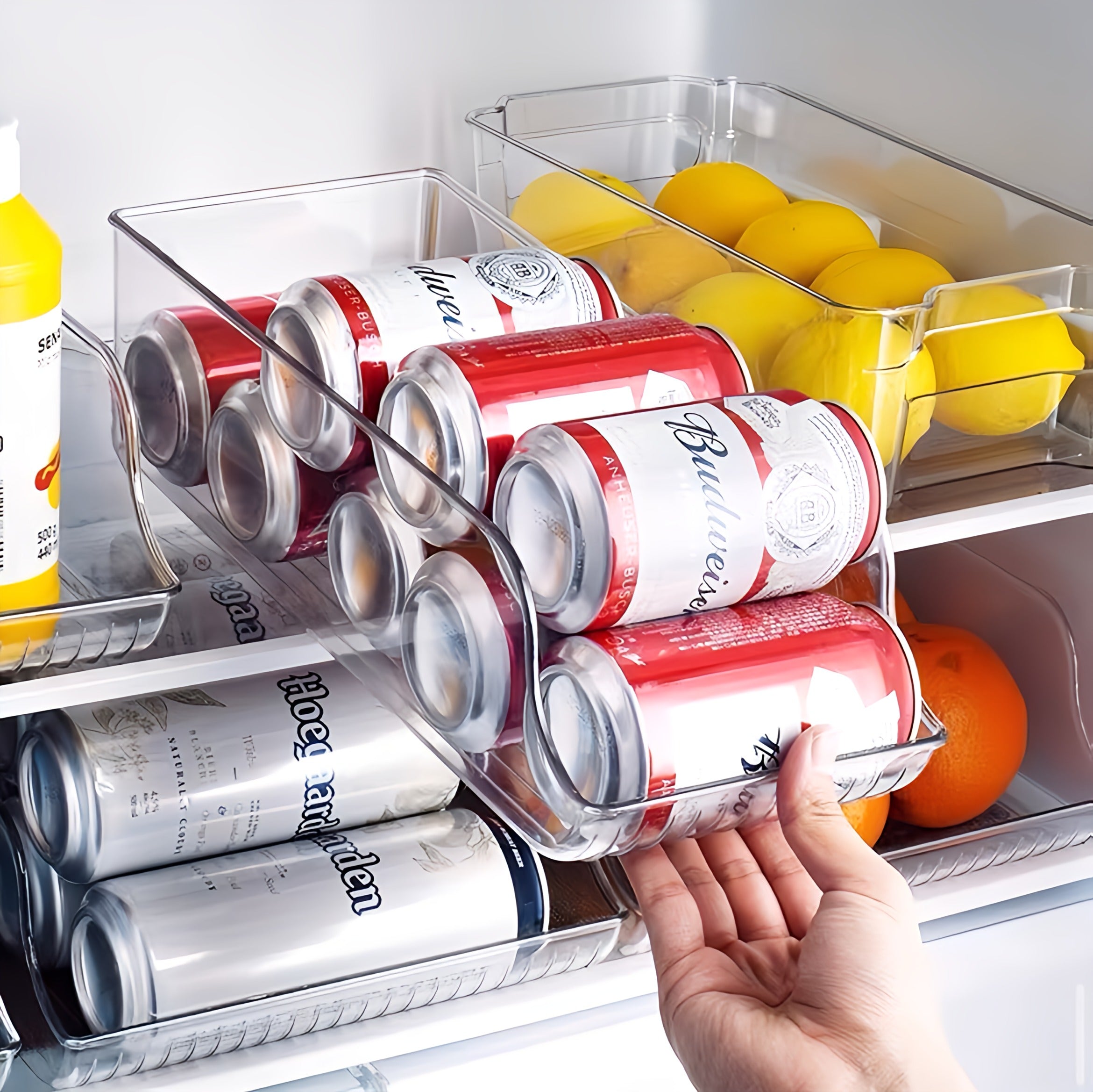 Refrigerator Organizer Box
