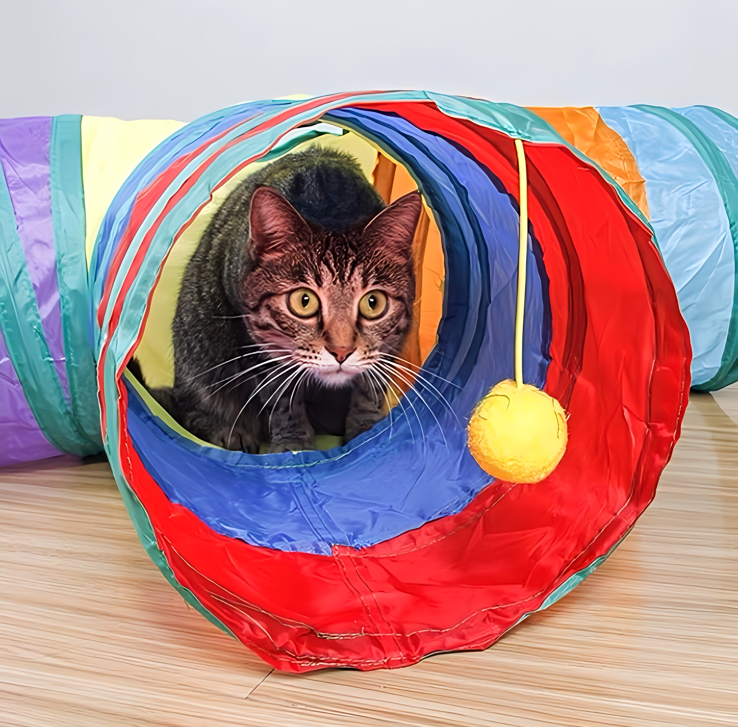 Tunnel Toy