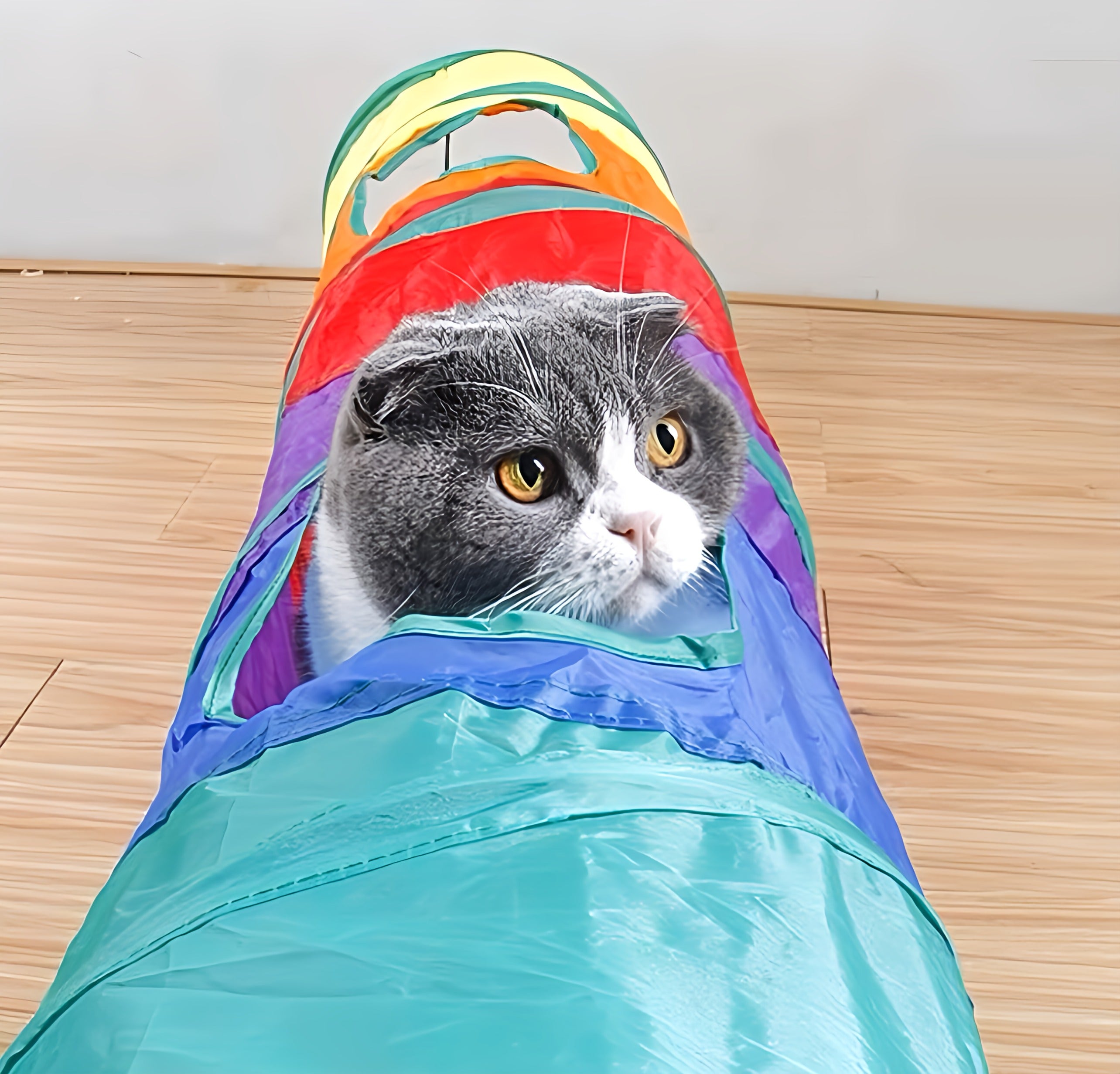 Tunnel Toy