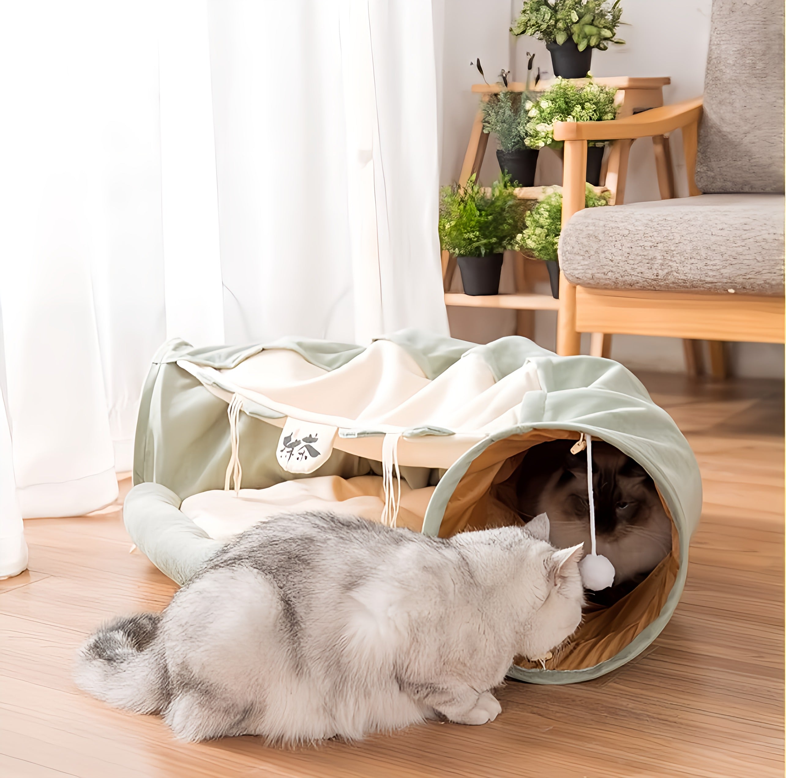 Tunnel Bed