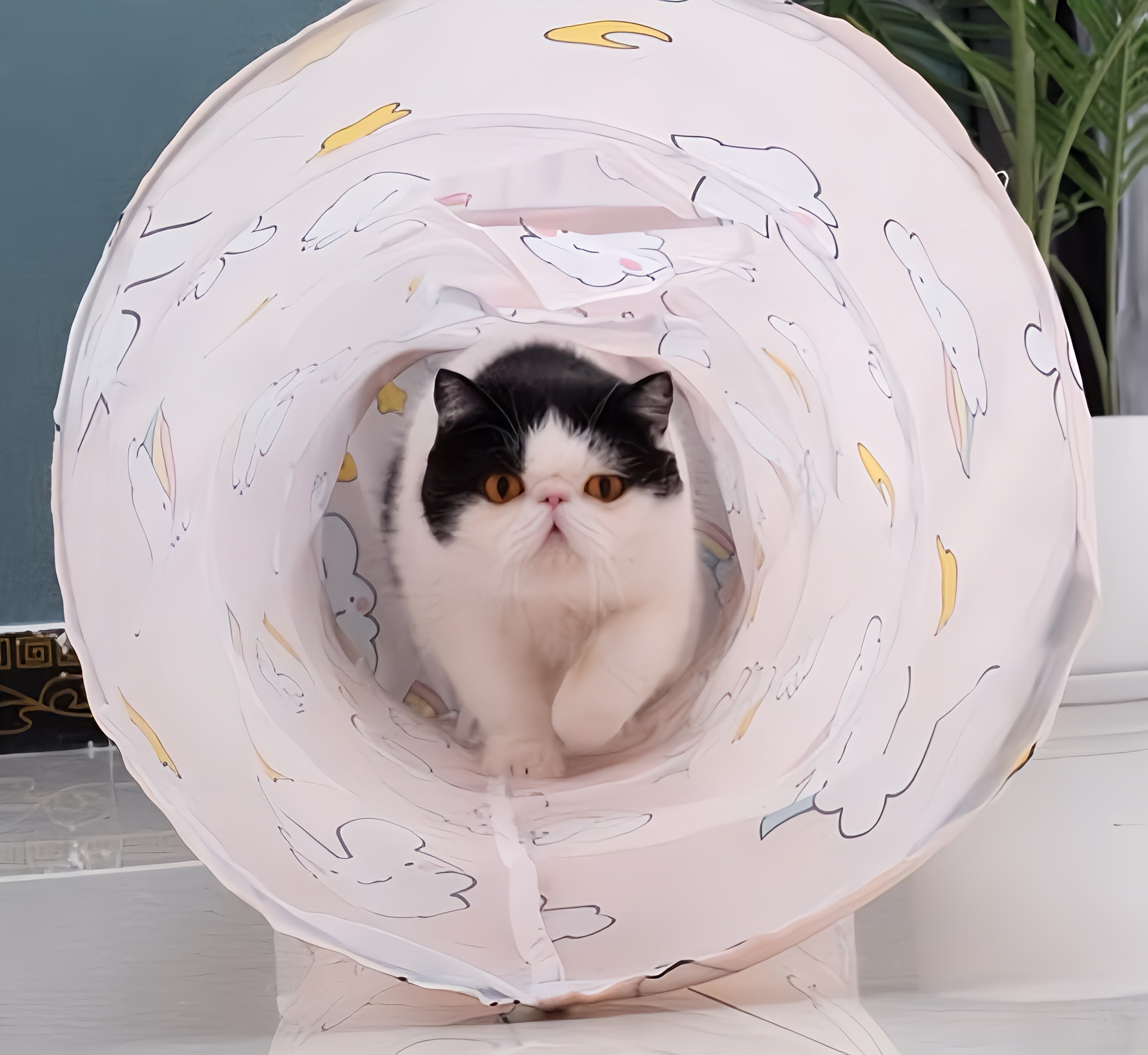 Cat Tunnel Toy