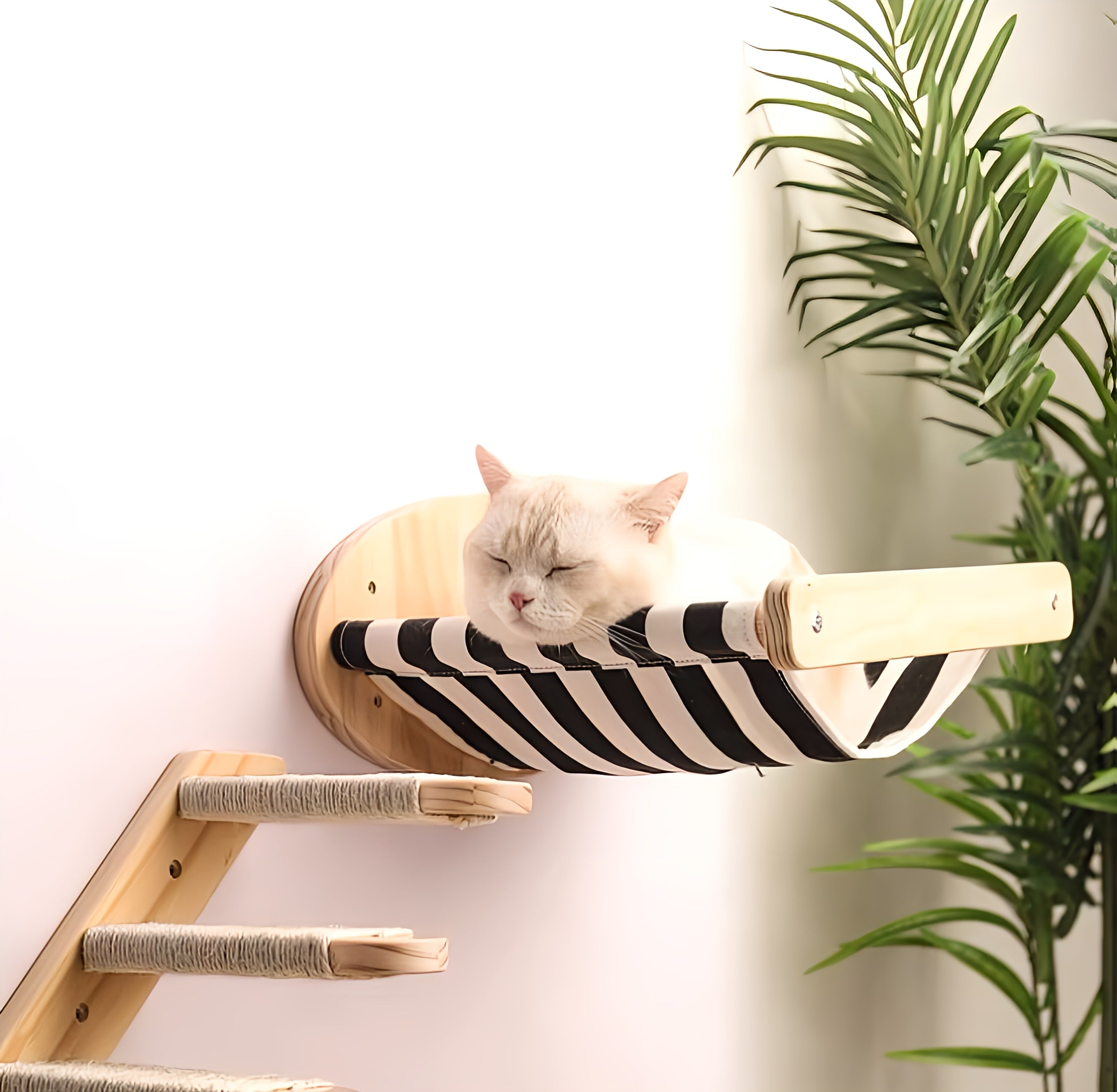 Wall Mounted Bed With Stairs