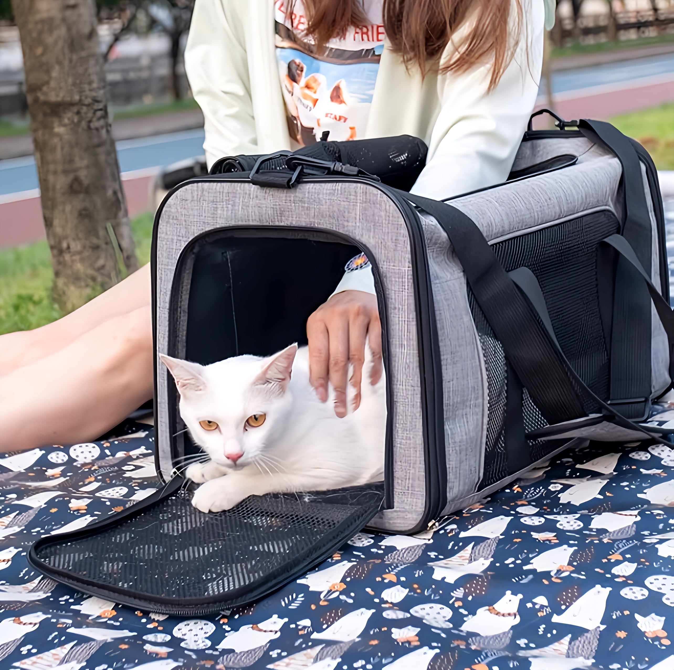 Pet Travel Bag