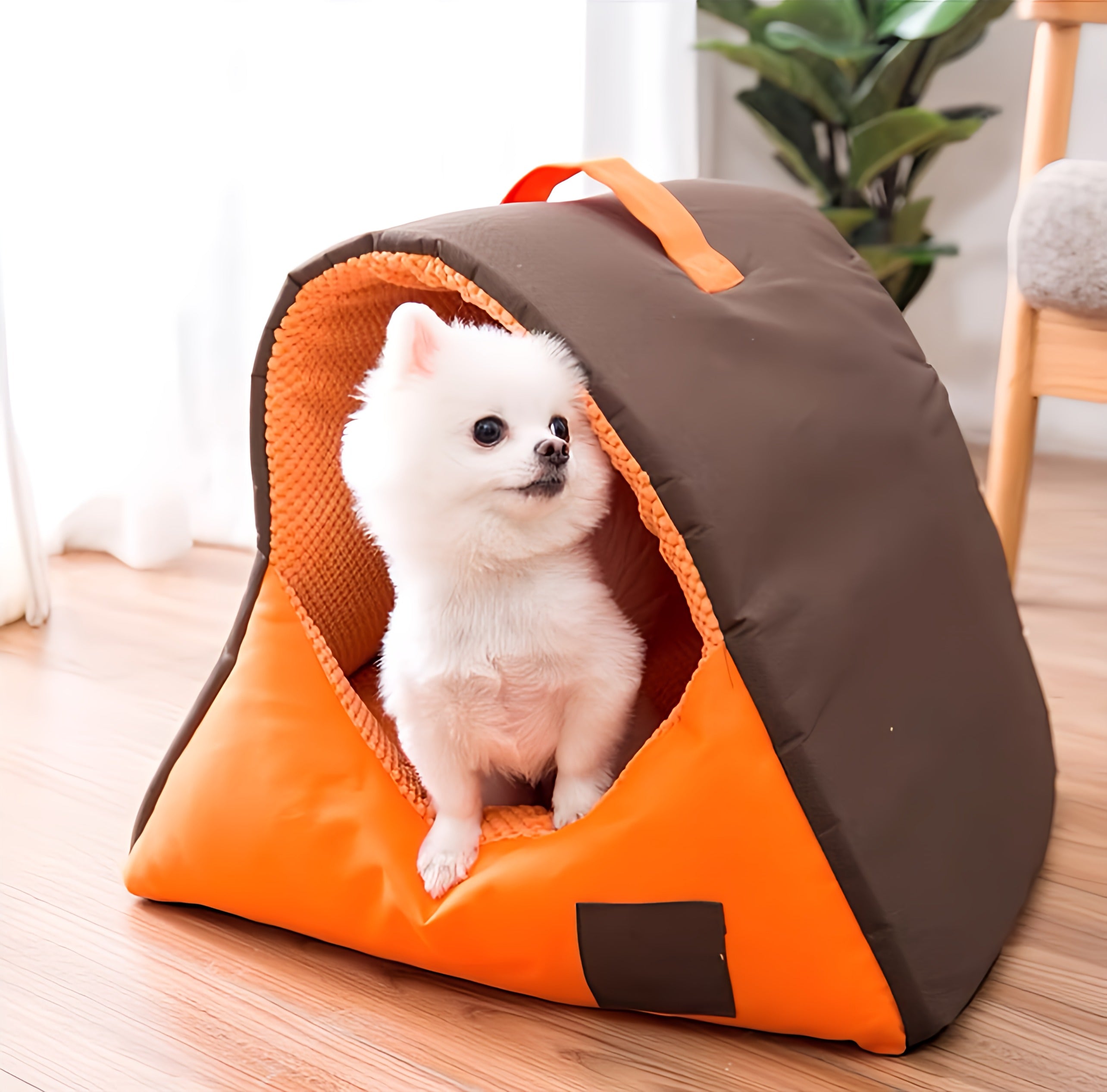 Dog Bed House