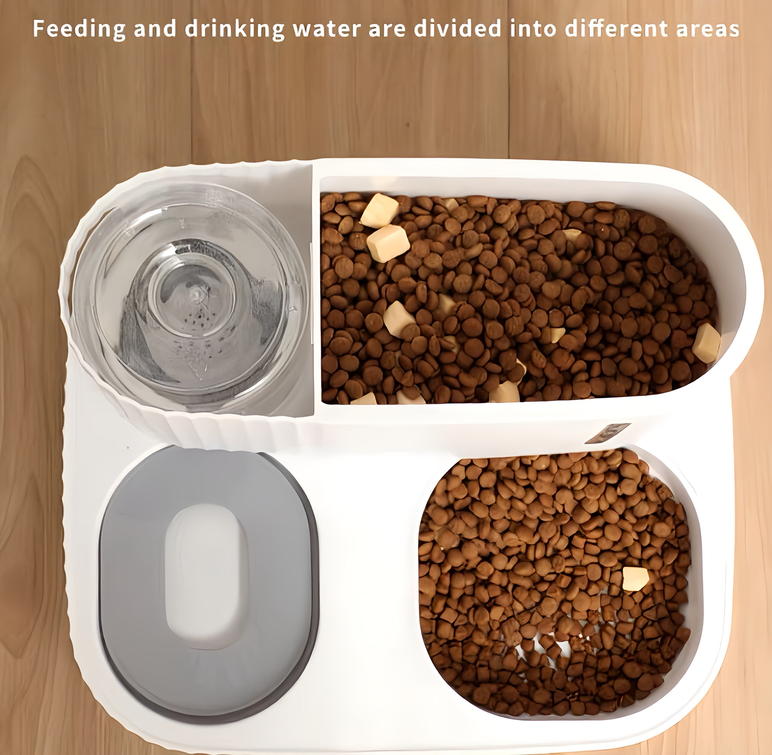 Automatic Feeder & Water Dispenser