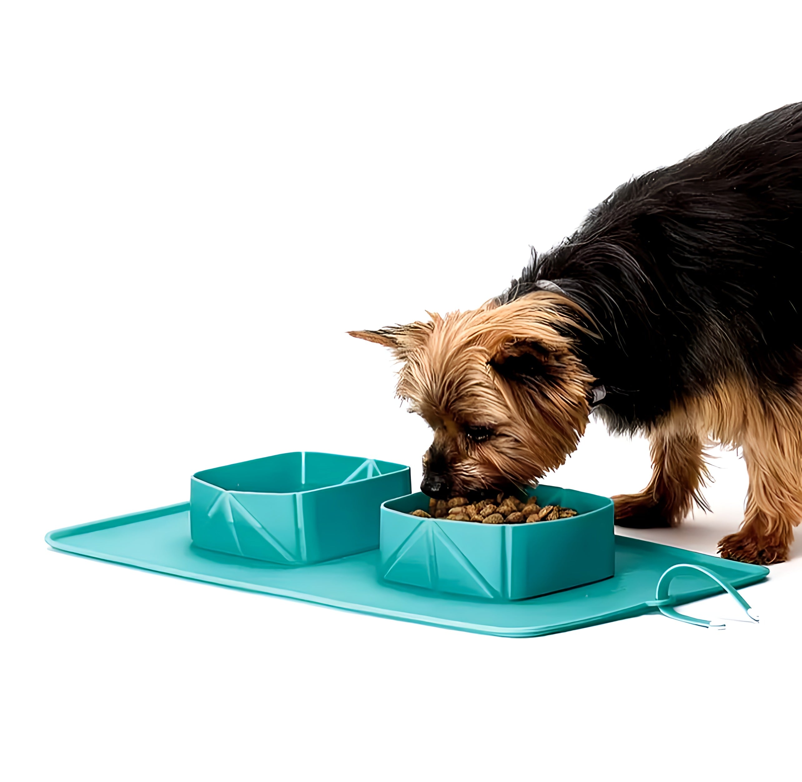 Portable Pet Bowl