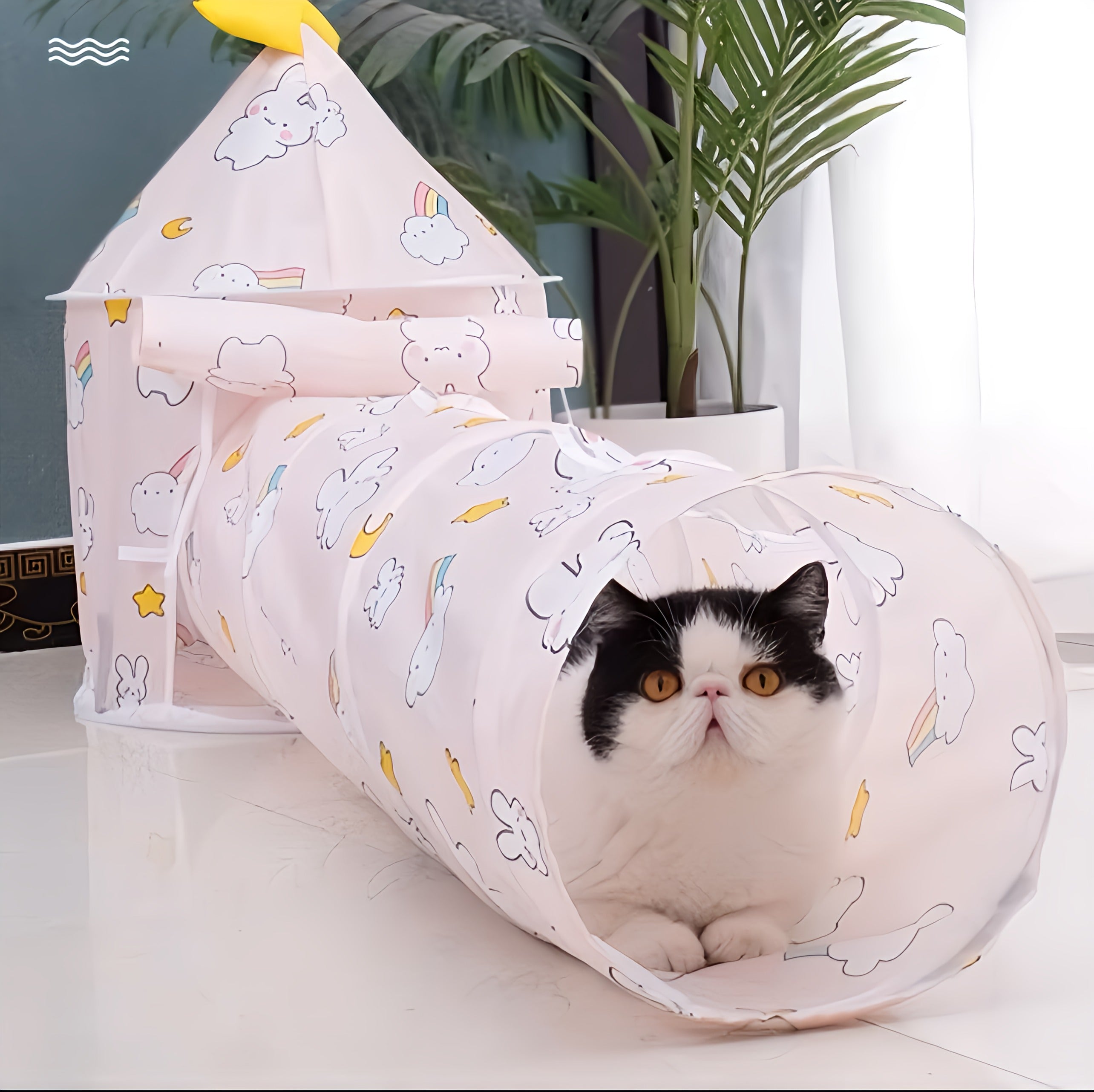 Cat Tunnel Toy