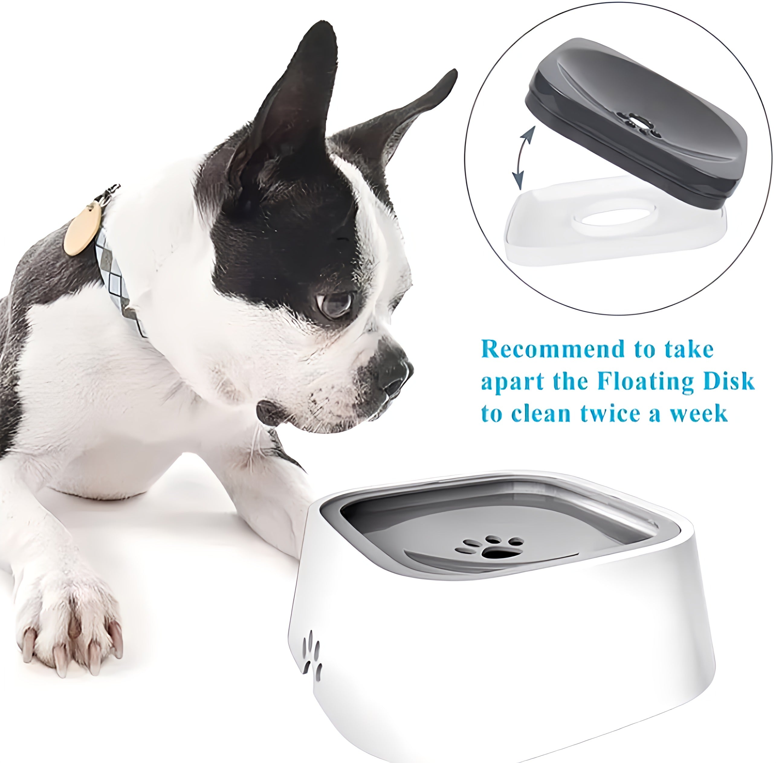 Anti-Spill Water Bowl