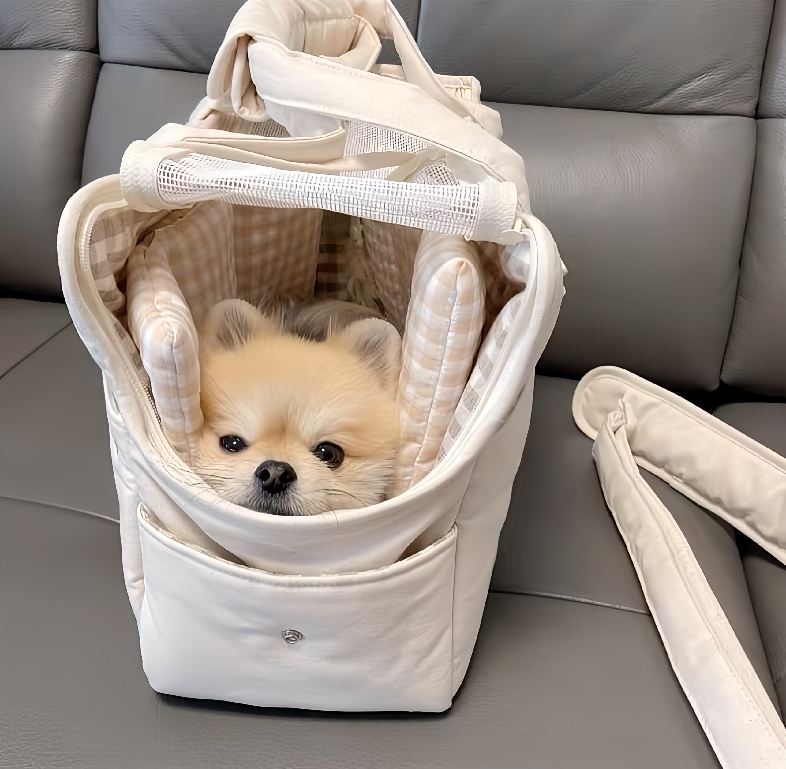 Dog Carrier Bag