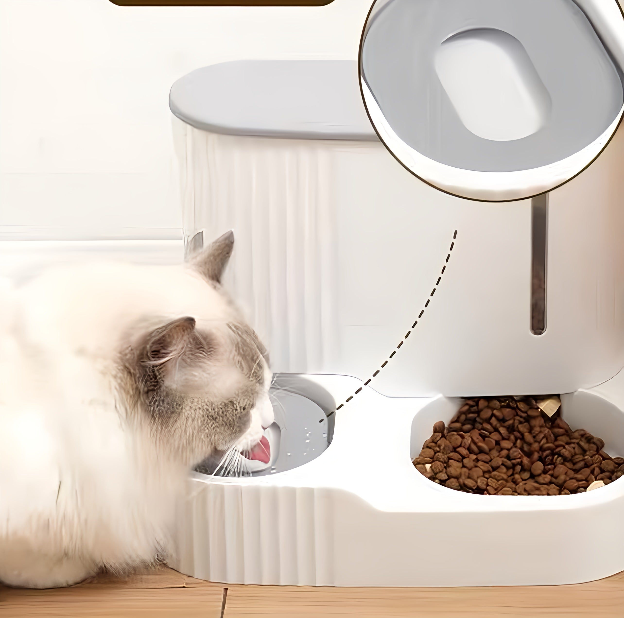 Automatic Feeder & Water Dispenser