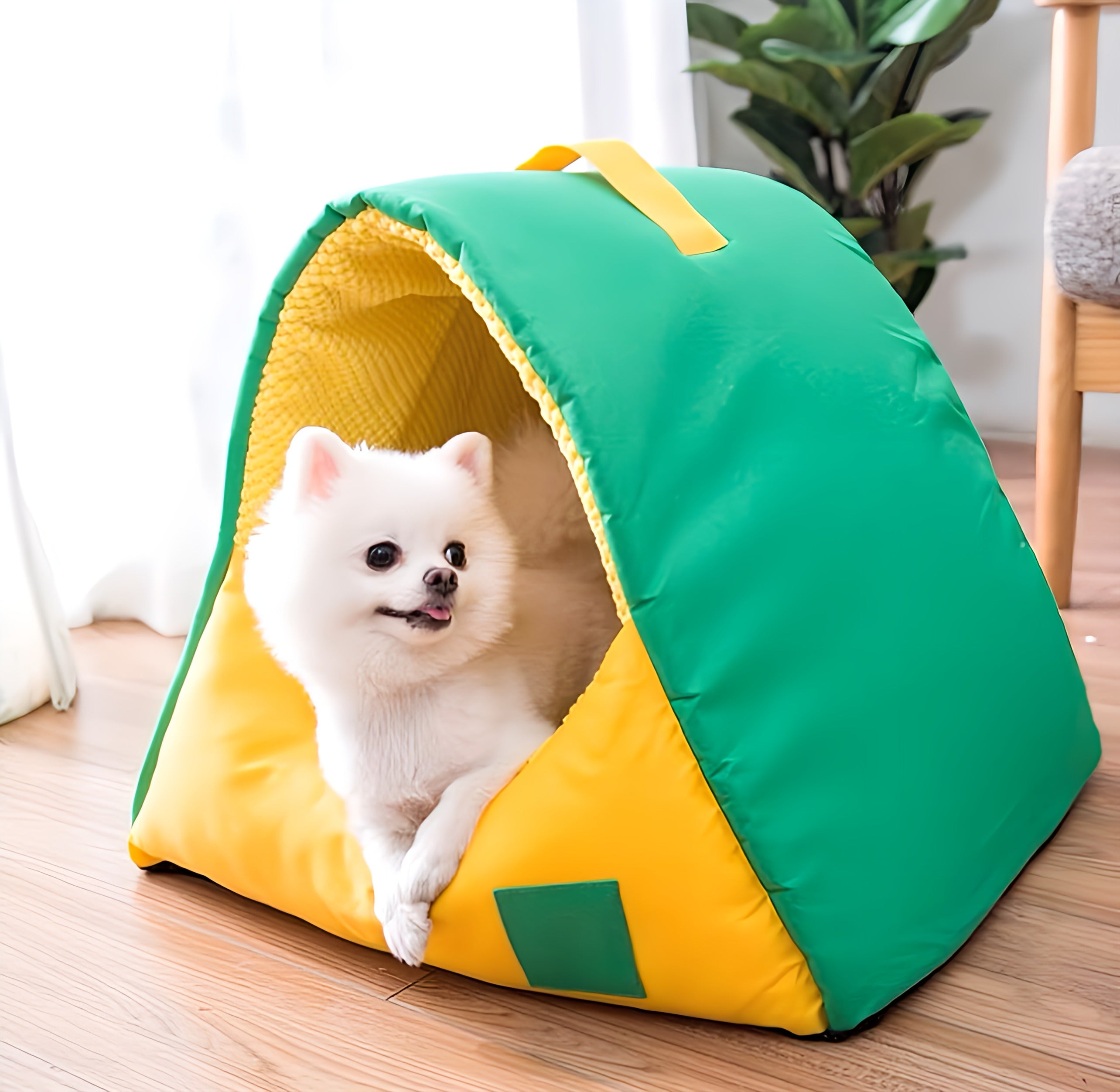 Dog Bed House