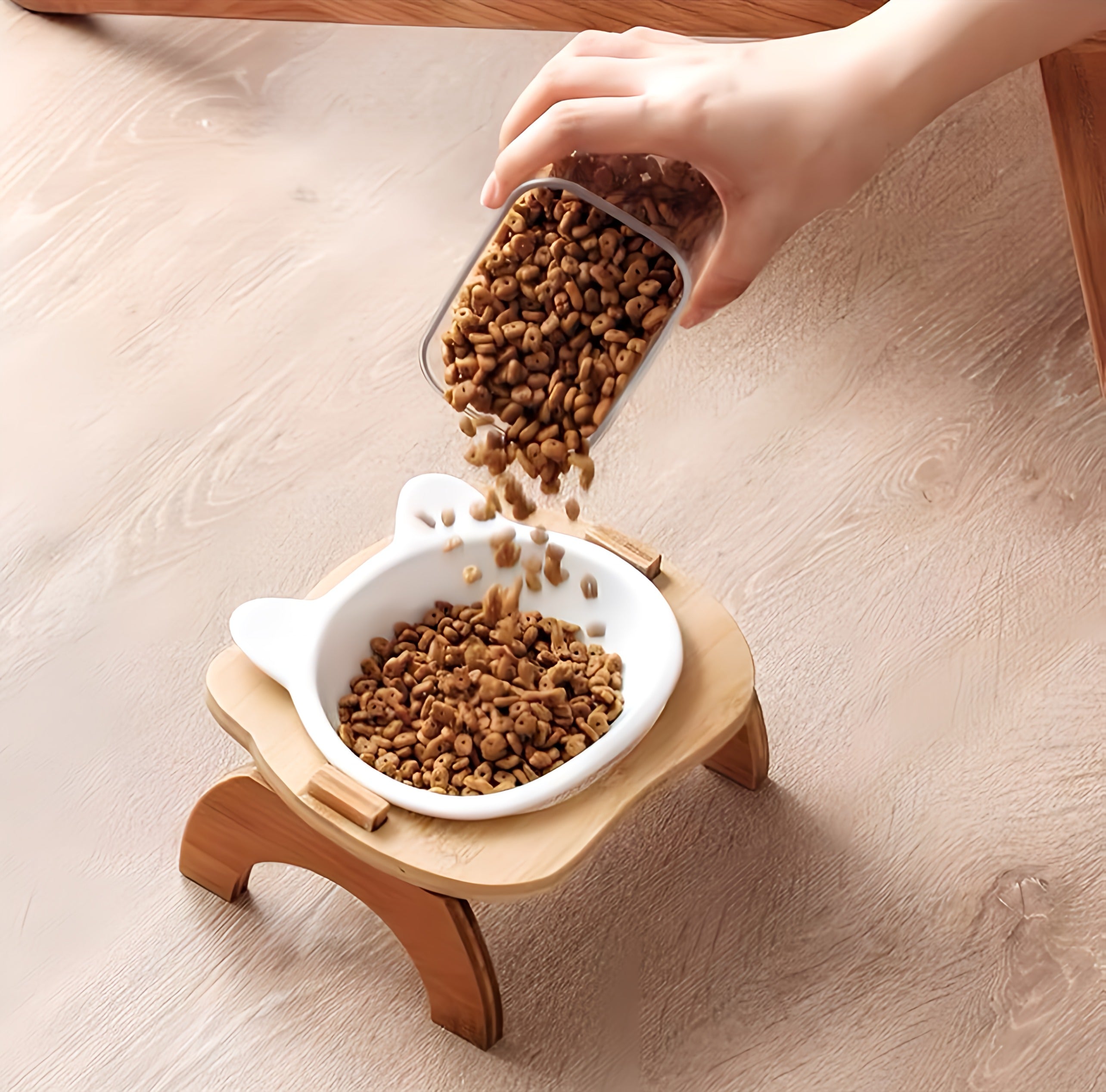 Cat Feeding Bowl