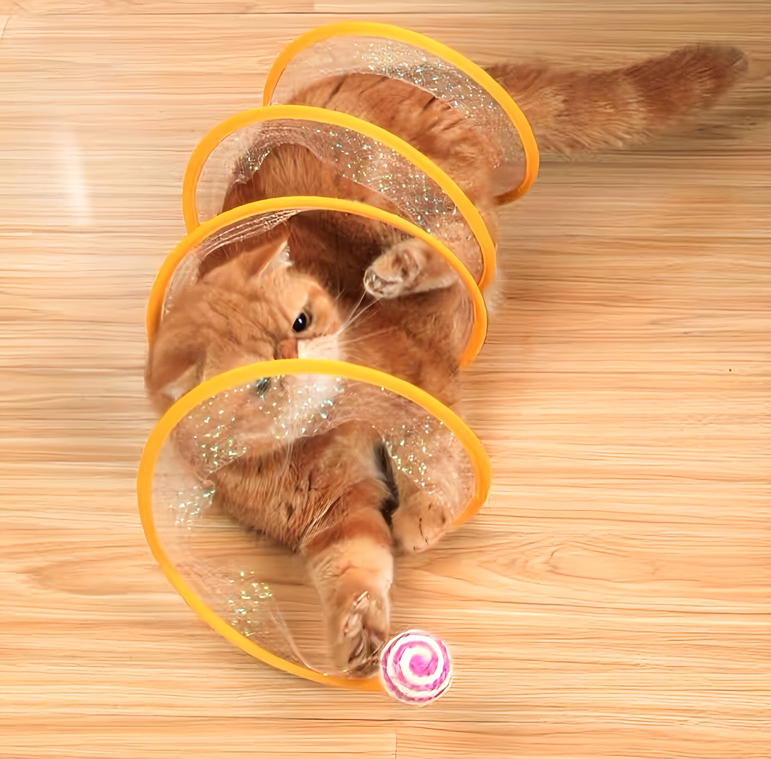 Collapsible Tunnel Toy For Cats