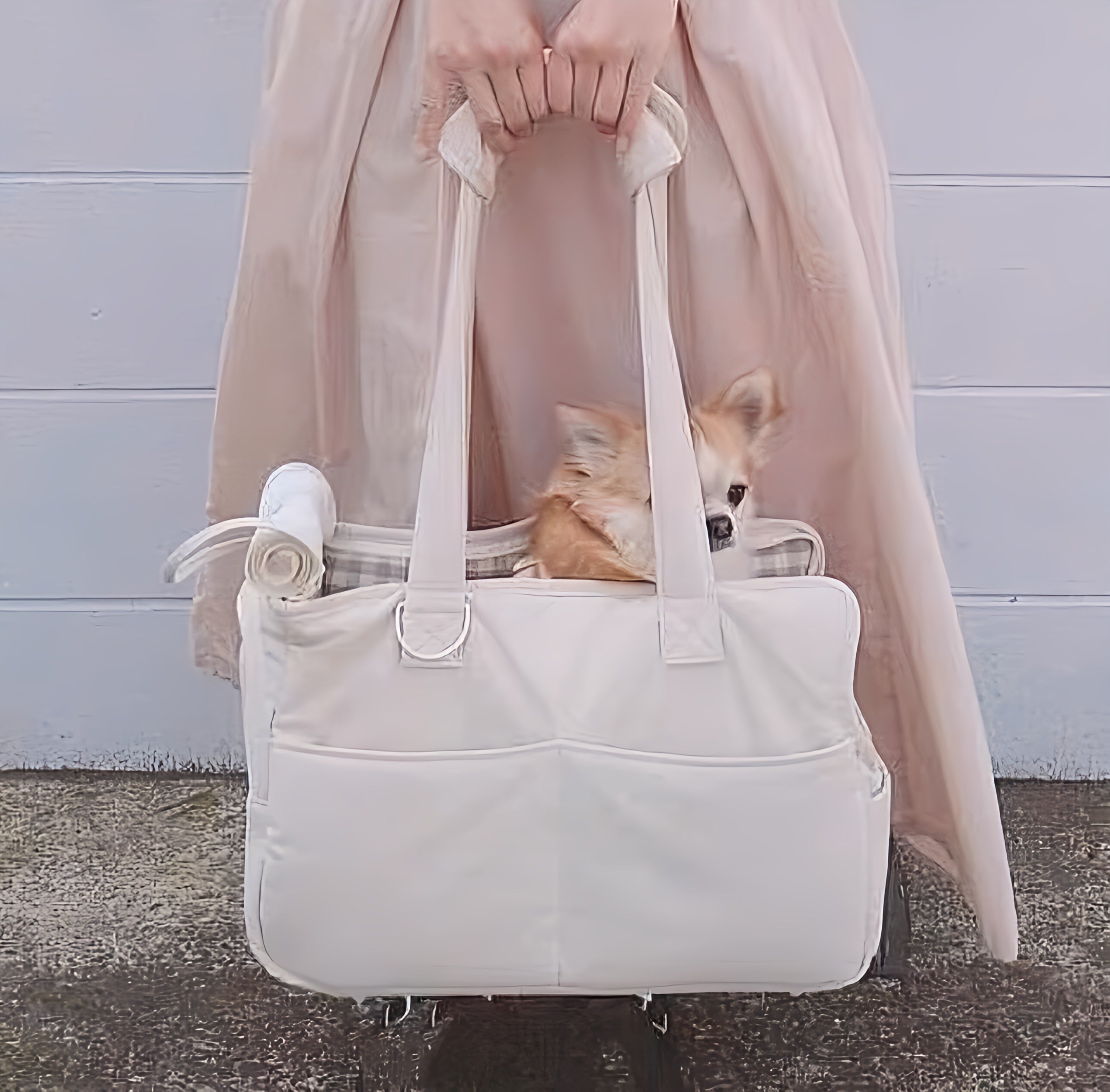 Dog Carrier Bag