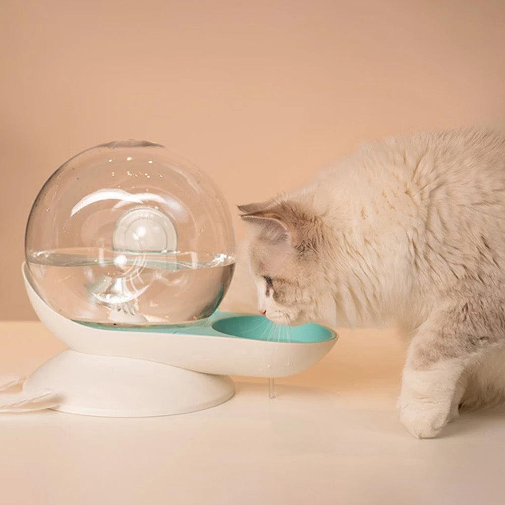 Cat Water Dispenser