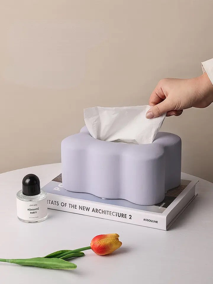 Morandi Color Tissue Box