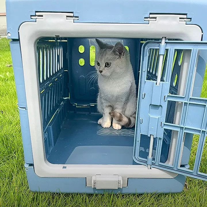 Cats Cage