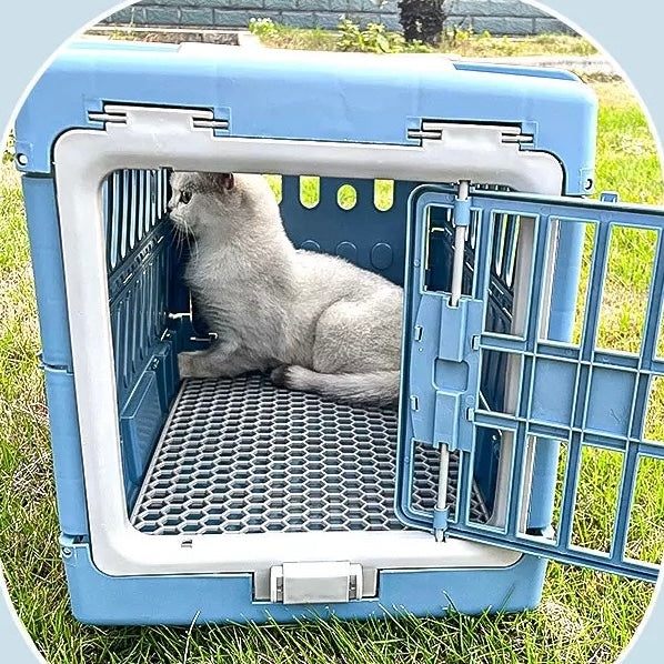 Cats Cage