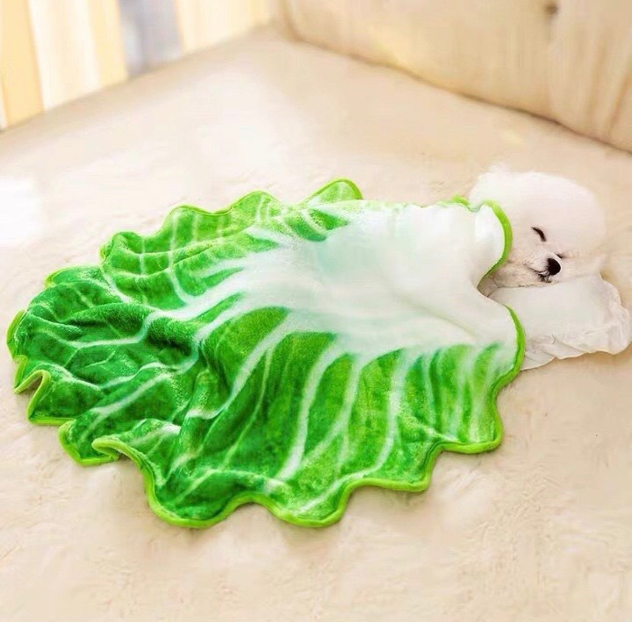 Lettuce Shape Pet Blanket