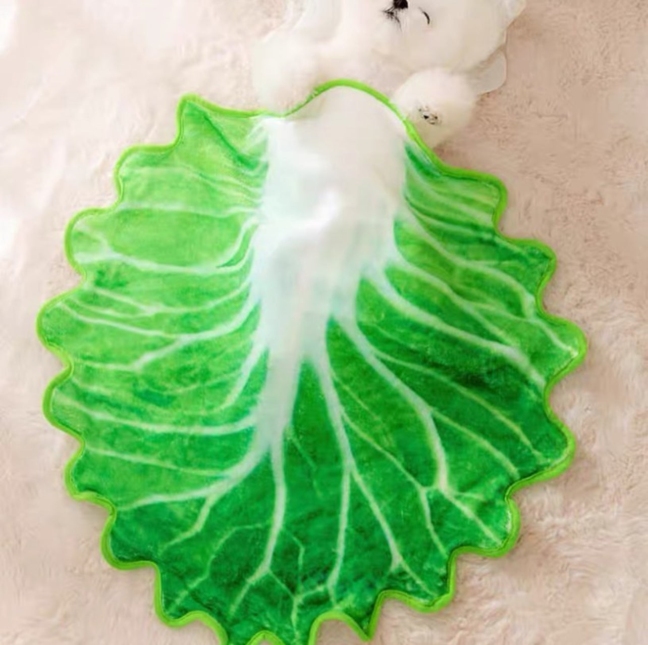 Lettuce Shape Pet Blanket