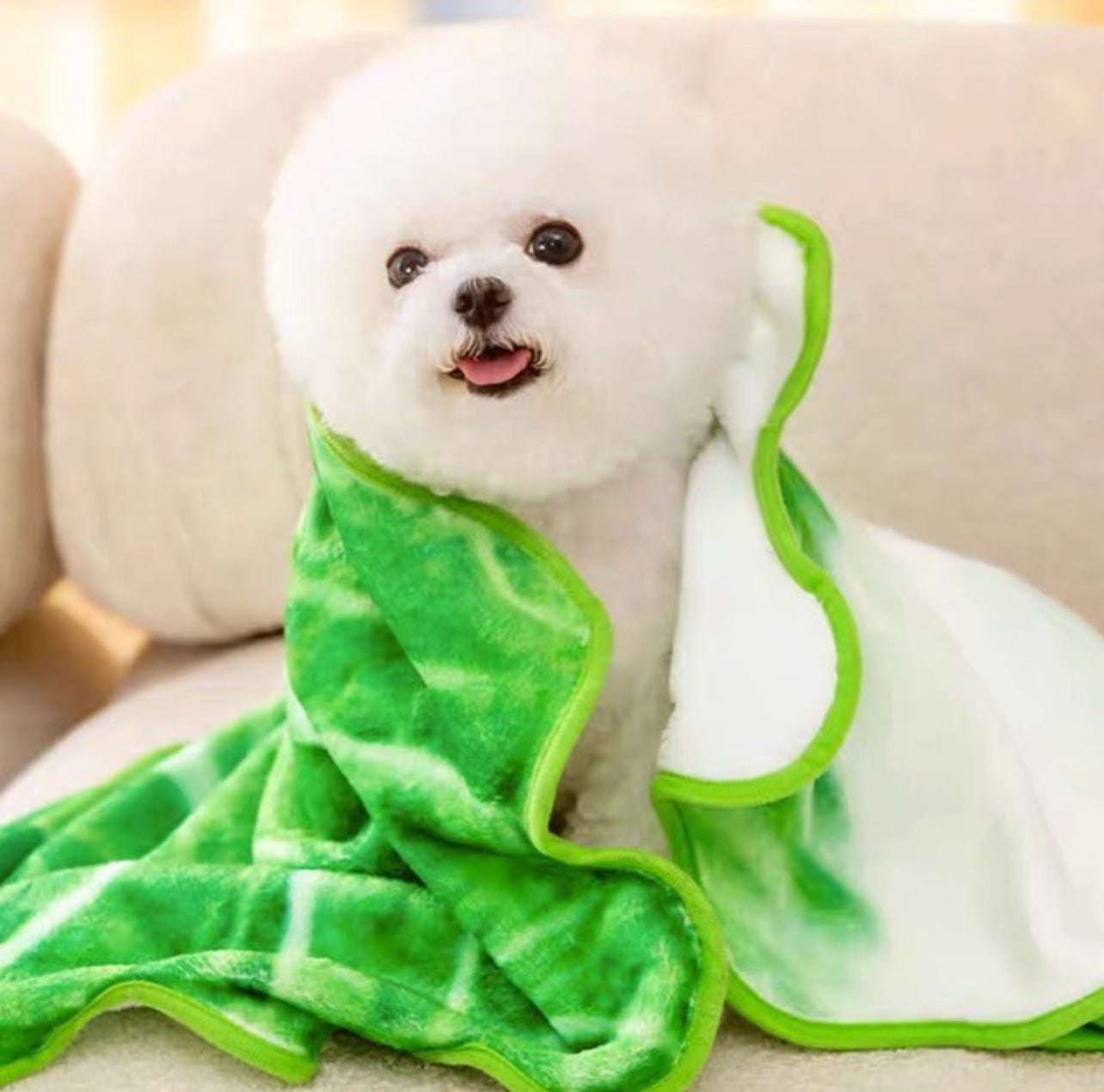 Lettuce Shape Pet Blanket