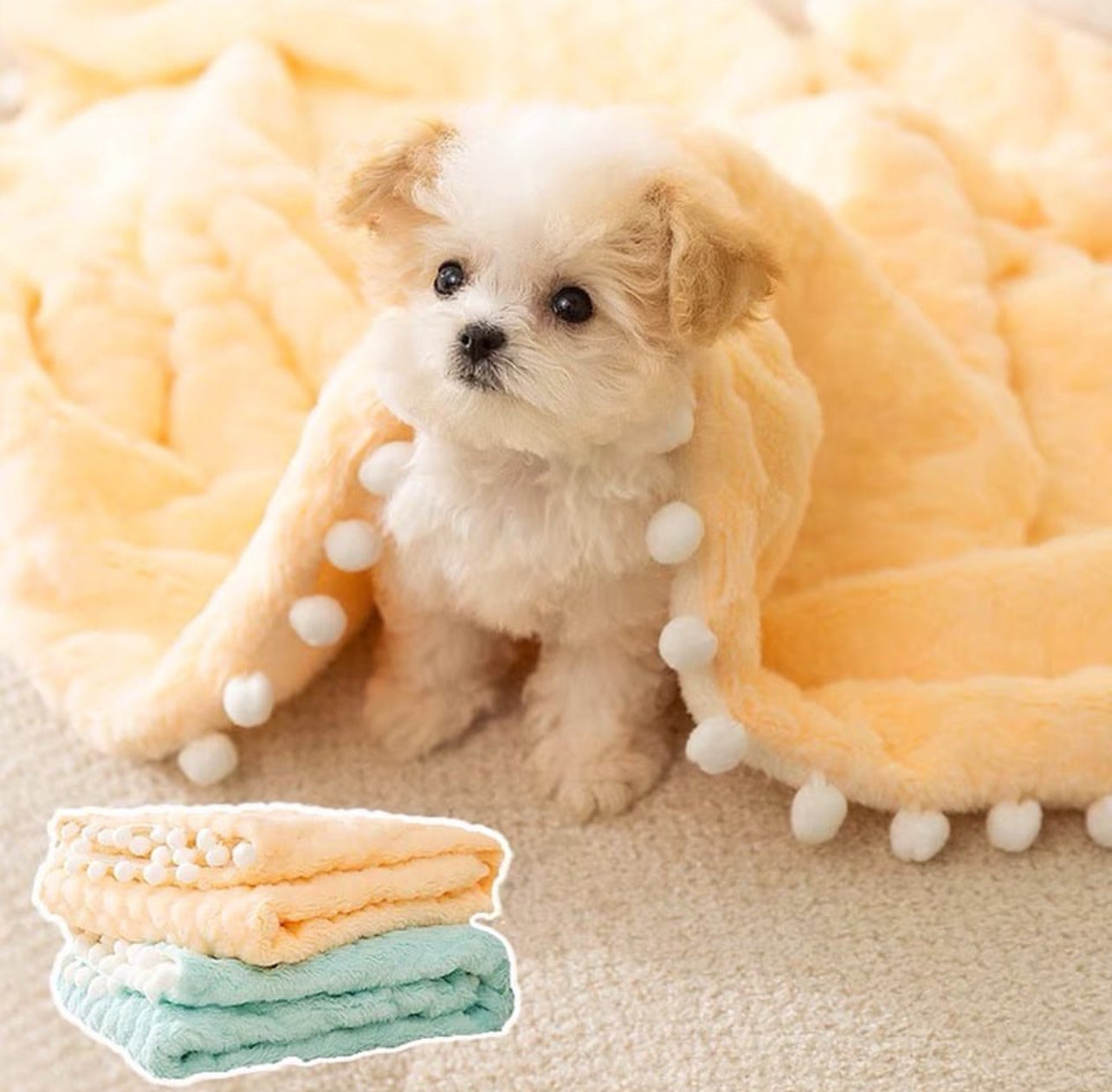 Winter Pet Blanket