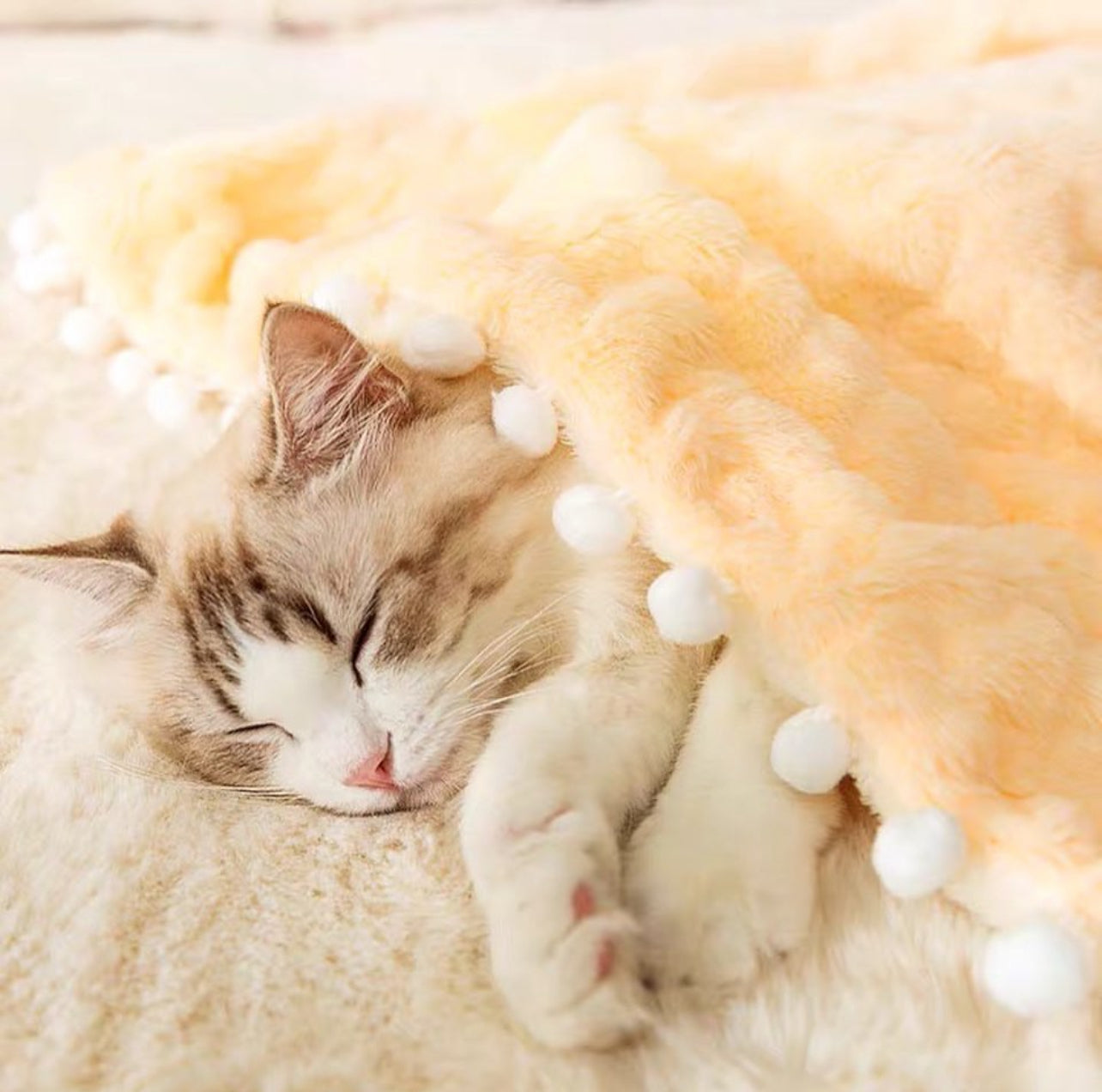 Winter Pet Blanket