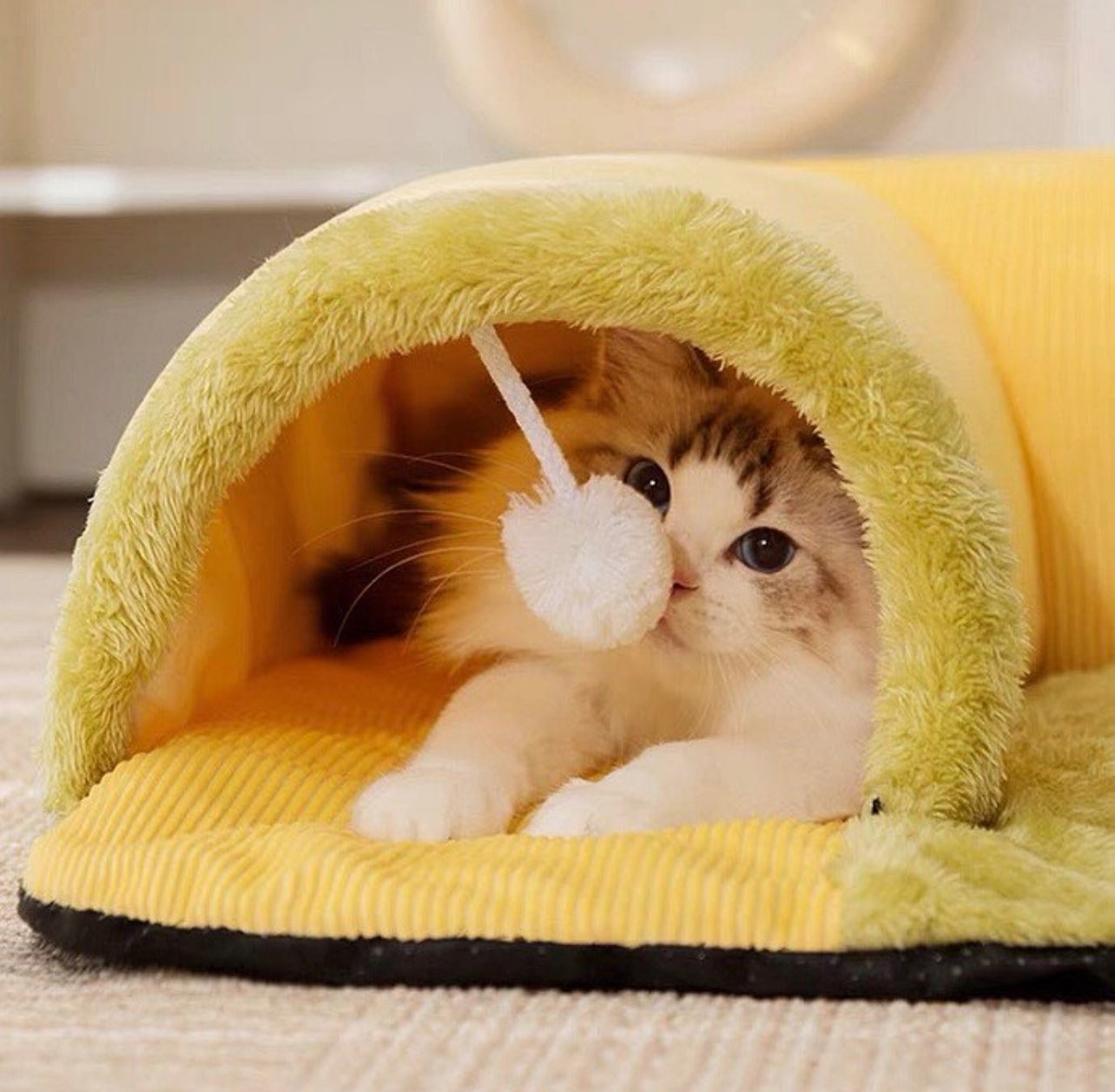 Cat Tunnel Bed