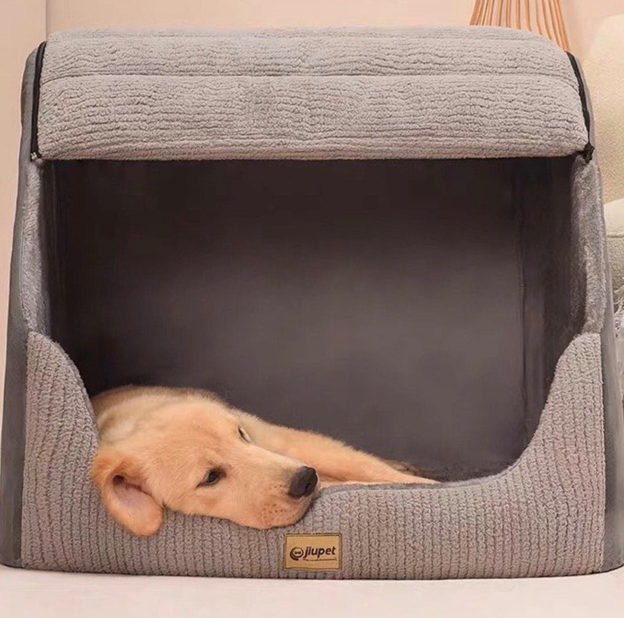 Warm Dog House