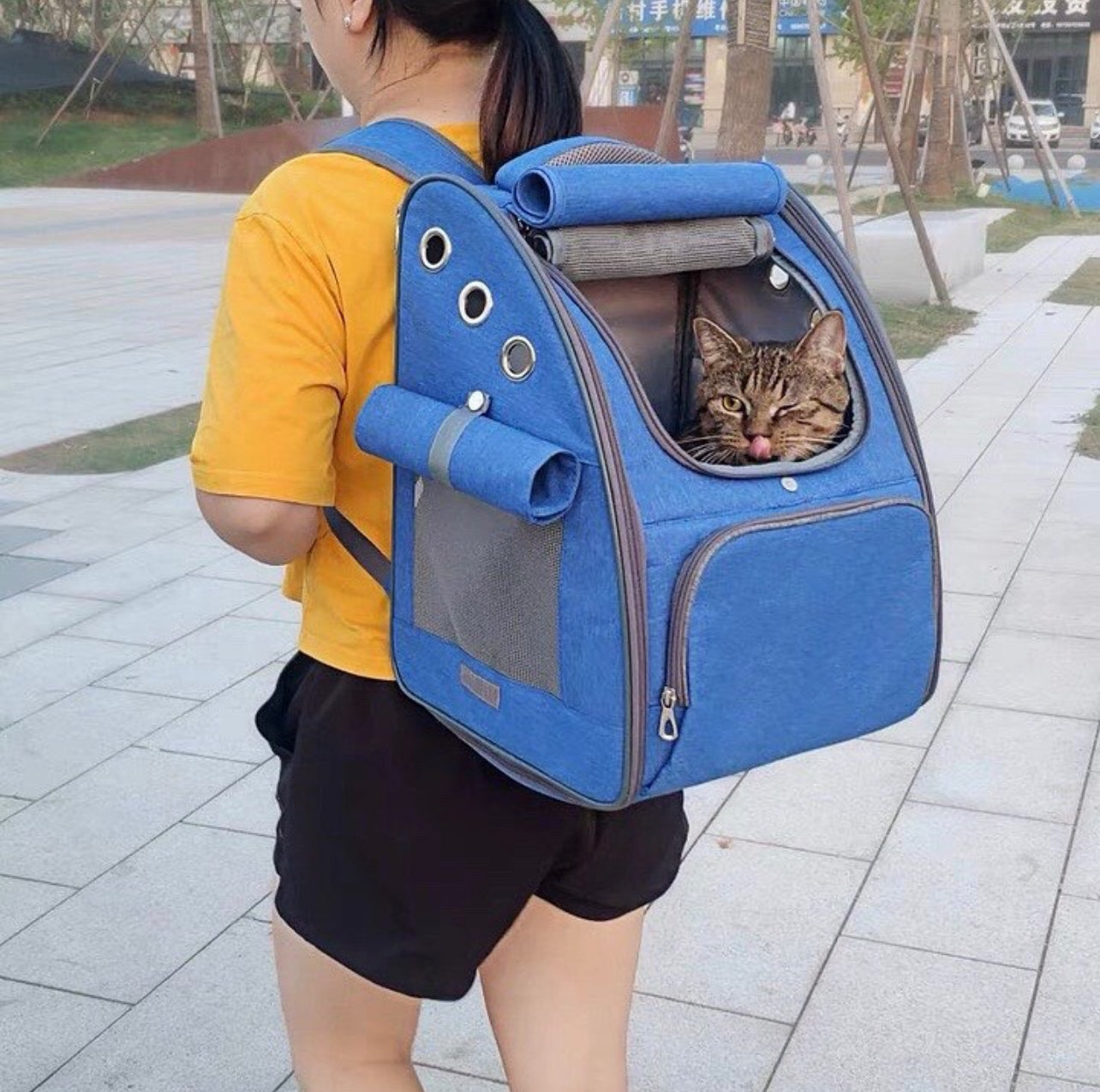 Breathable Pet Backpack