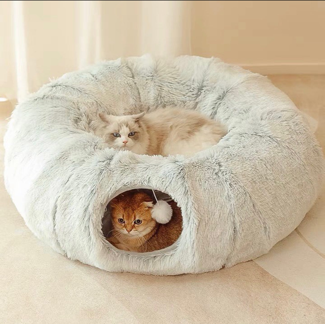 Cat Tunnel