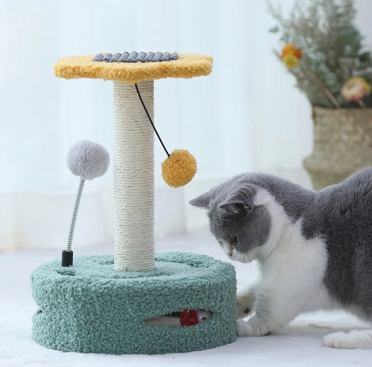 Cat Scratchers