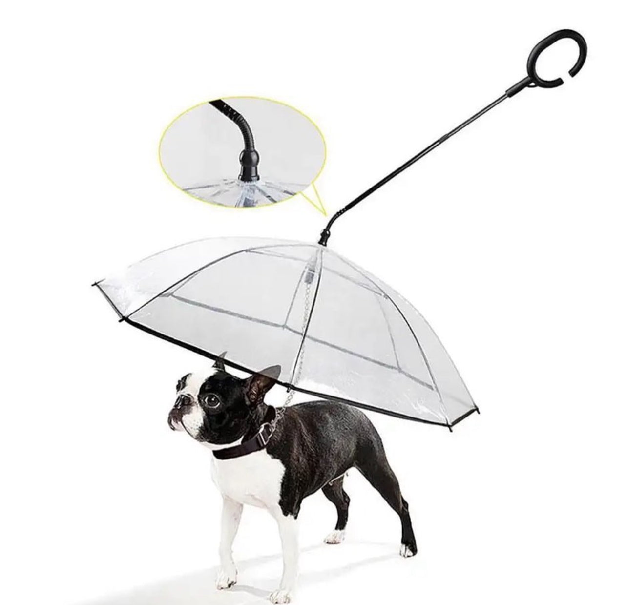 Pet Umbrella