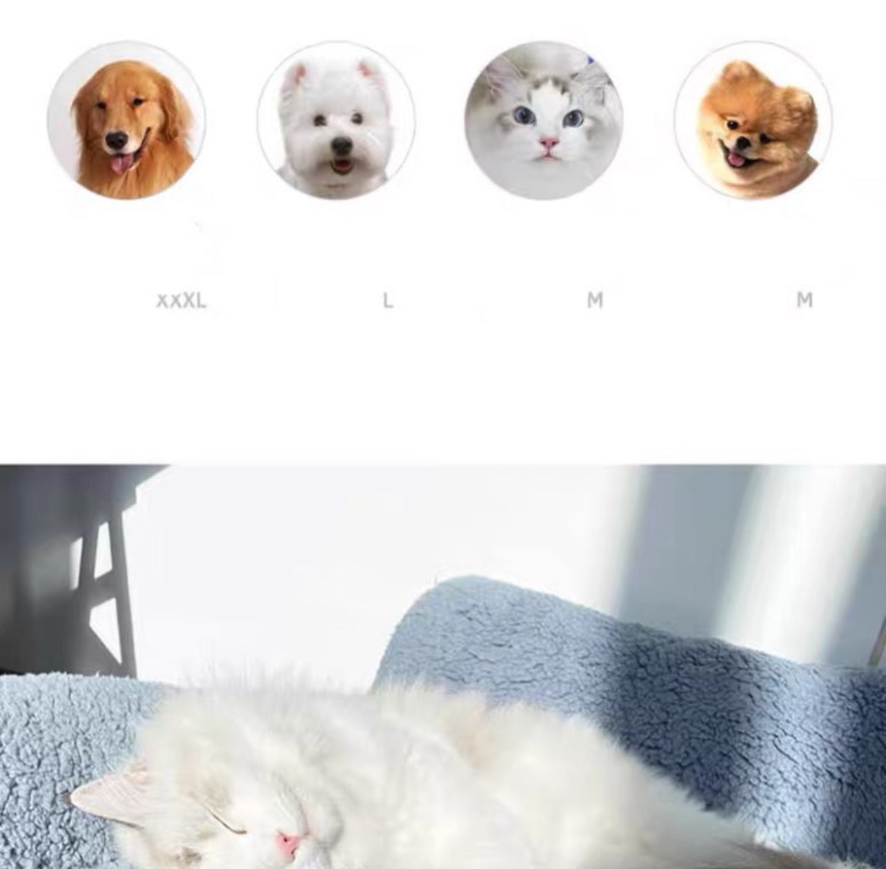 Pet Sofa Bed