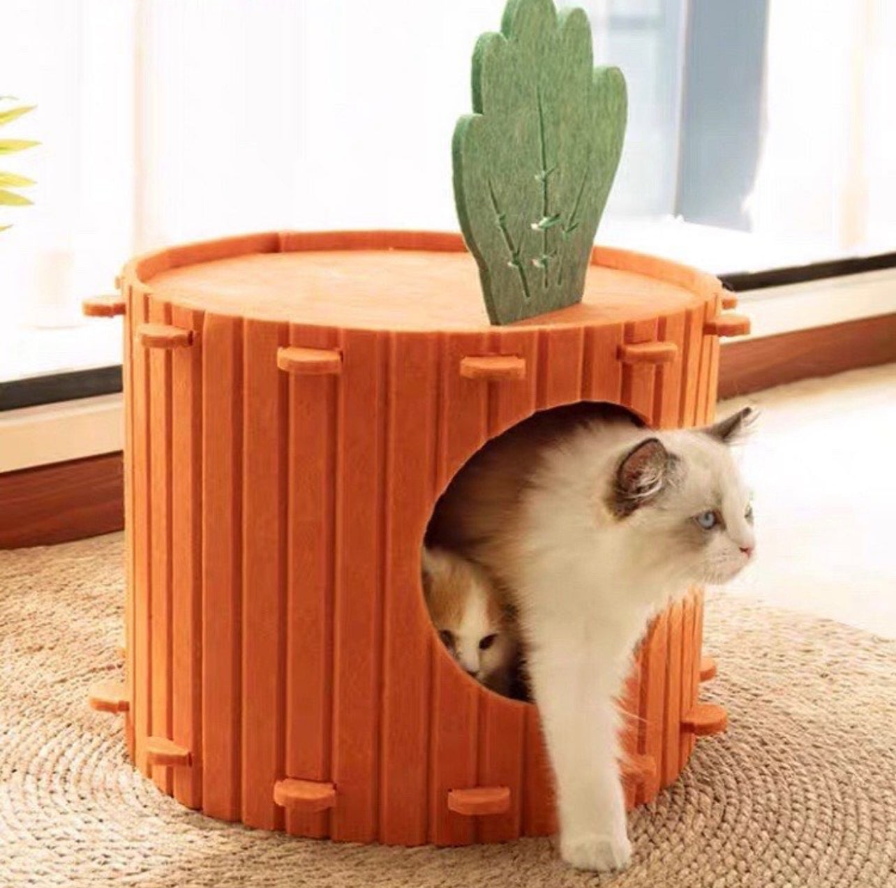 Pets Carrot Nest