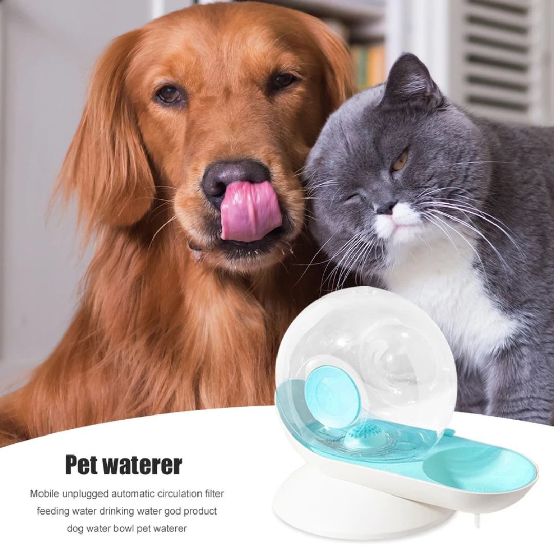 Cat Water Dispenser