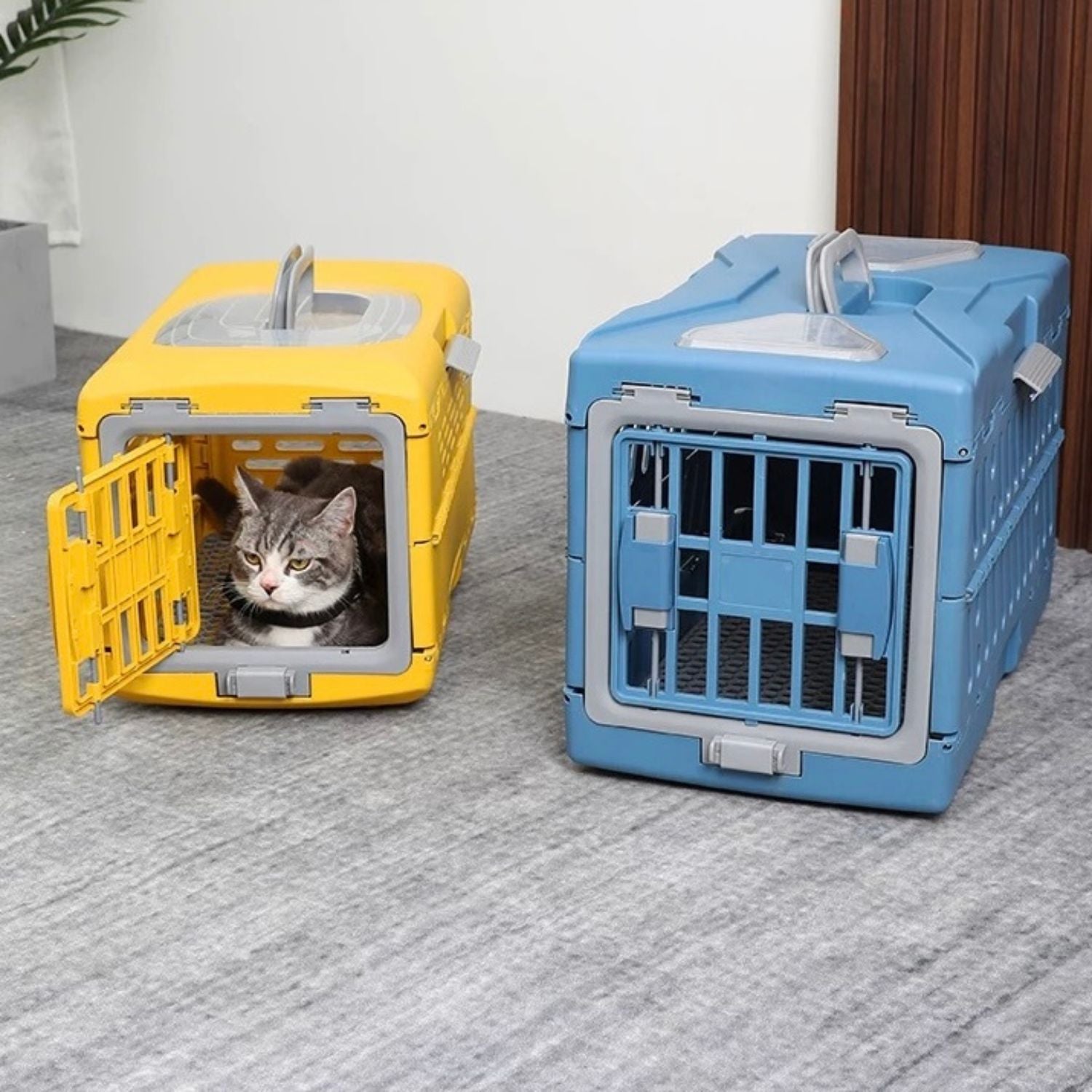 Cats Cage