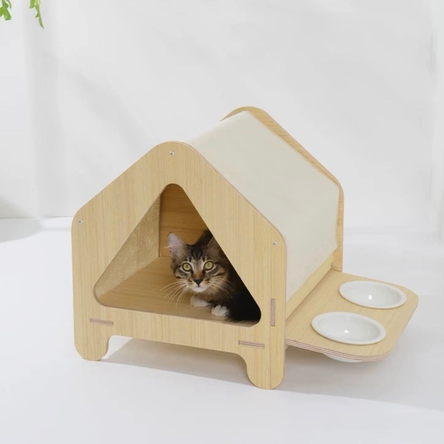 Four Seasons Cat Villa