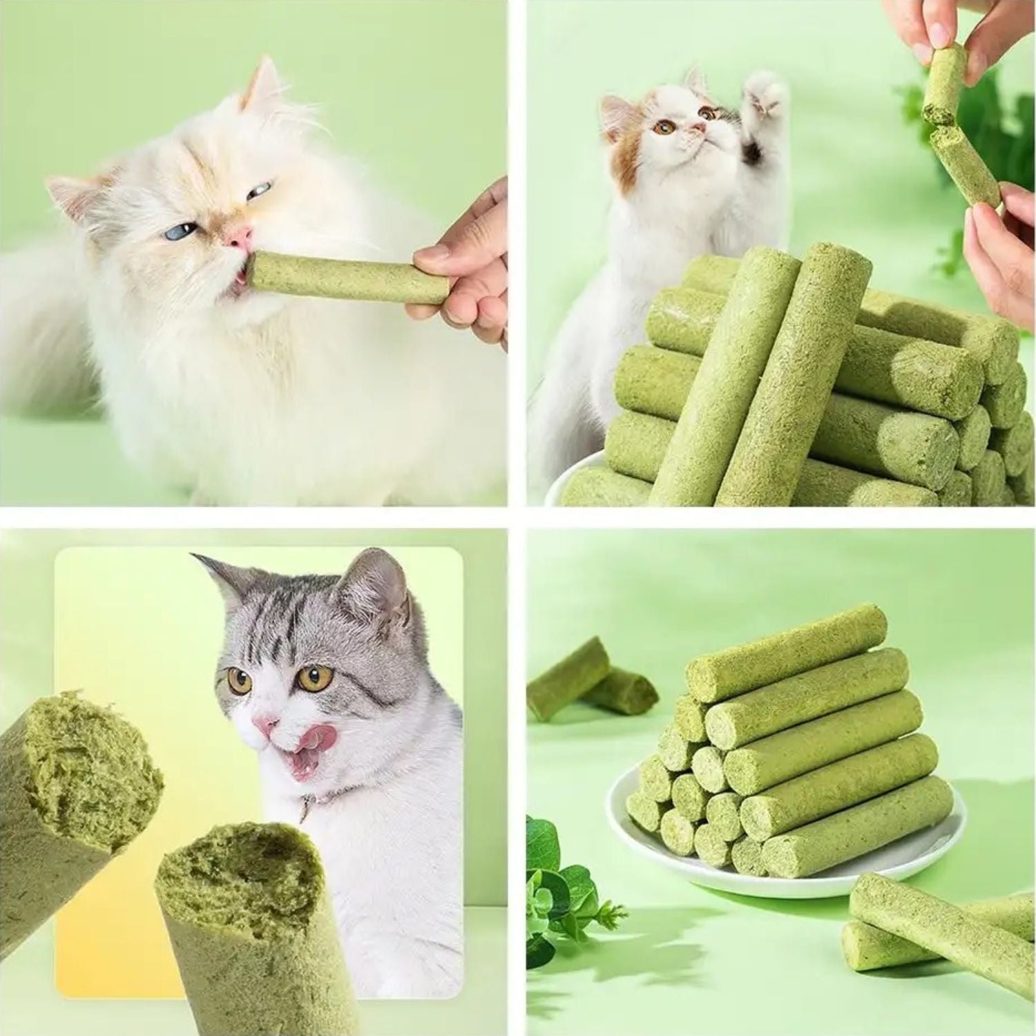 Cat Grass Stick