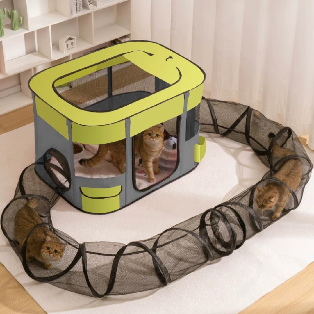 Cat Caty Tunnel Tent