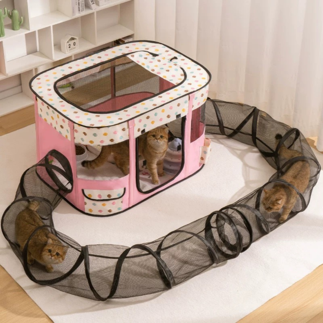 Cat Caty Tunnel Tent