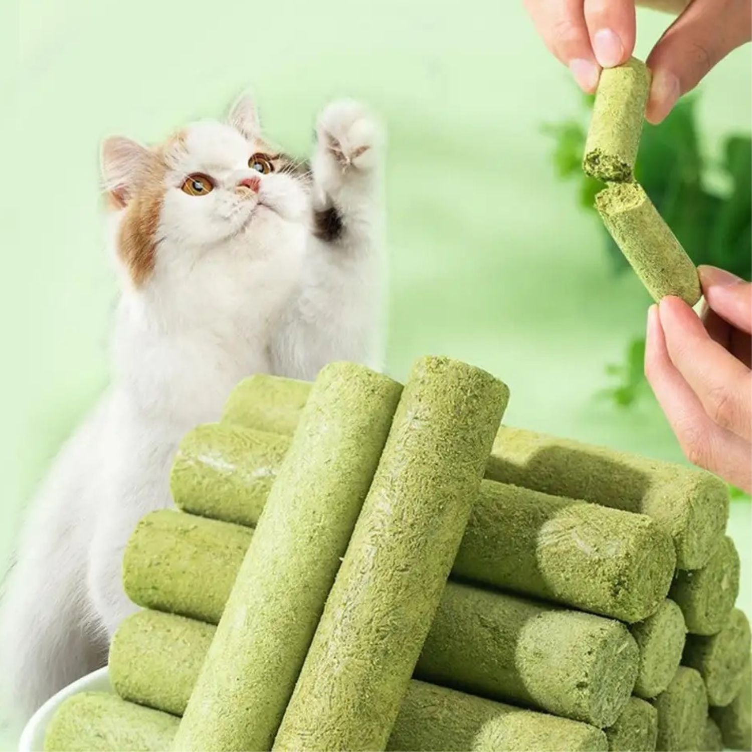 Cat Grass Stick