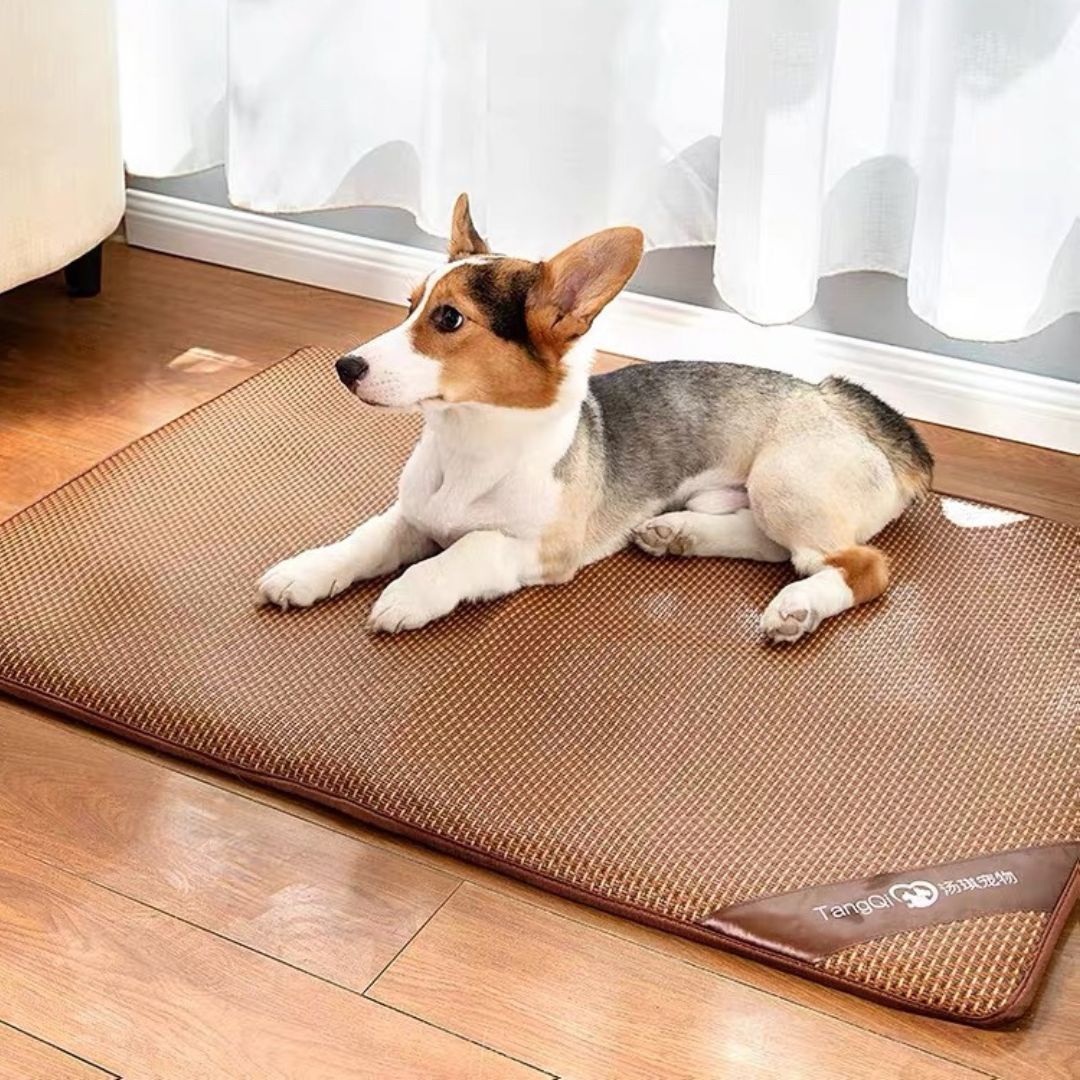 Pooch Resting Mat