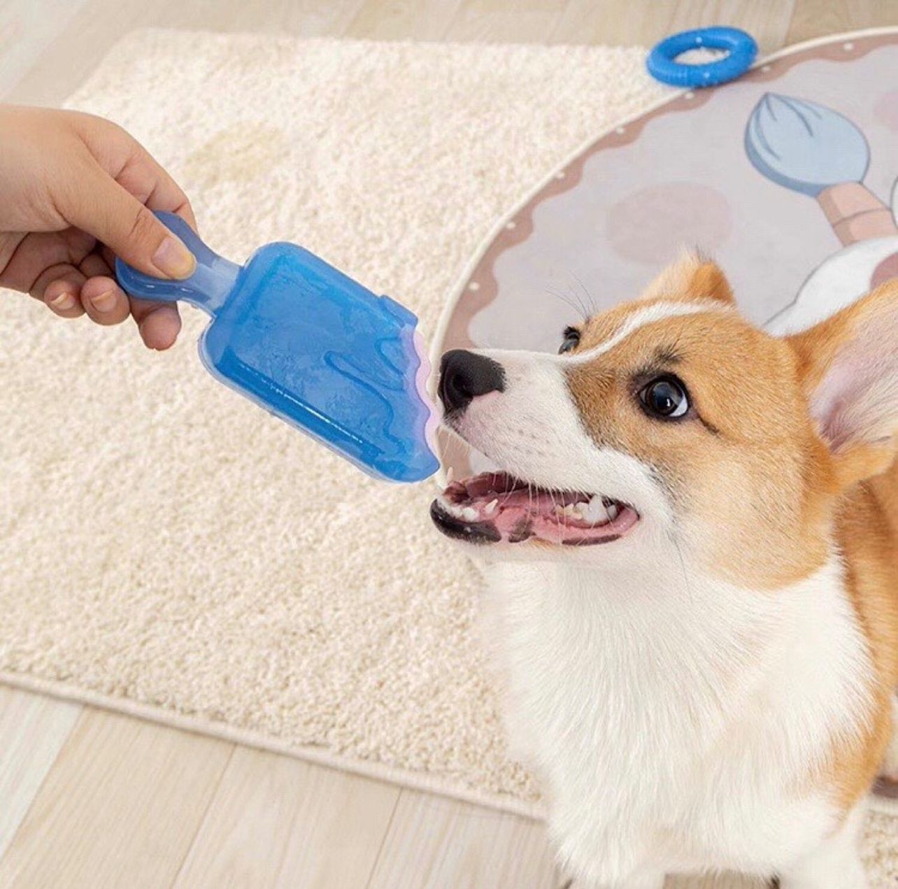 Dog Cooling Toy