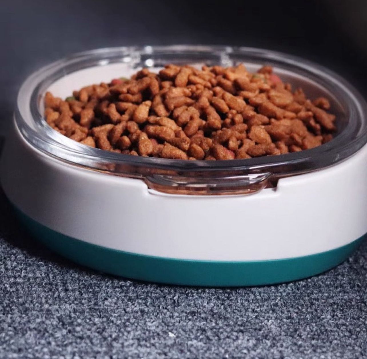 Pet Feeding & Drinking Bowl